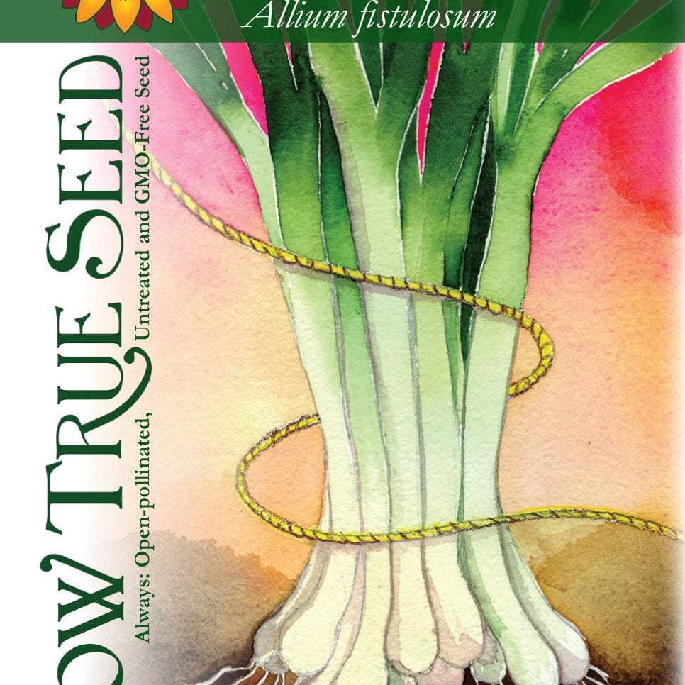 Artist designed packets of Long White Bunching Onions  from Sow True Seed Asheville NC. 