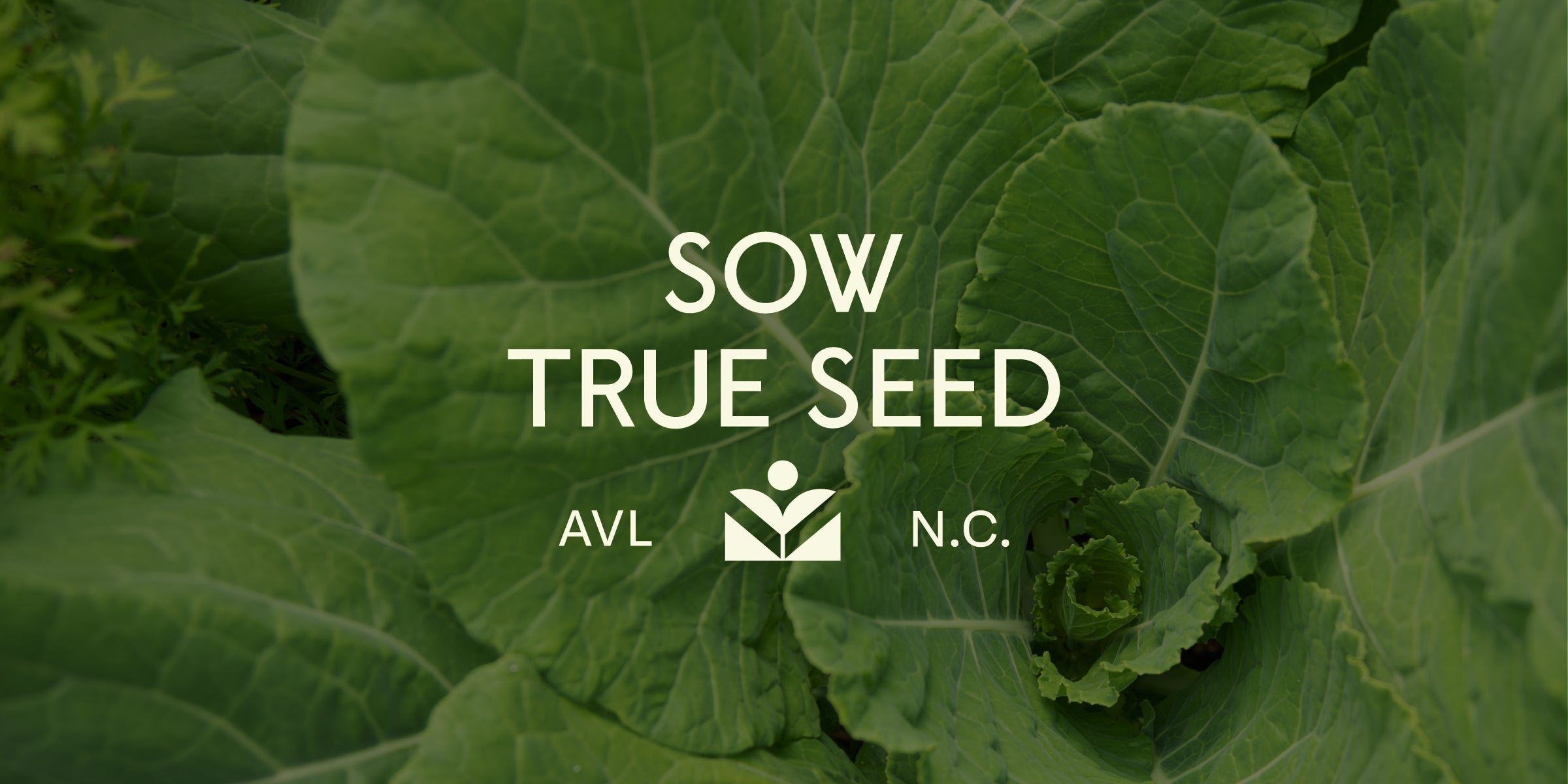 Баннер нового сезона Sow True Seed обновление бренда Sow True Seed и новый визуальный стиль