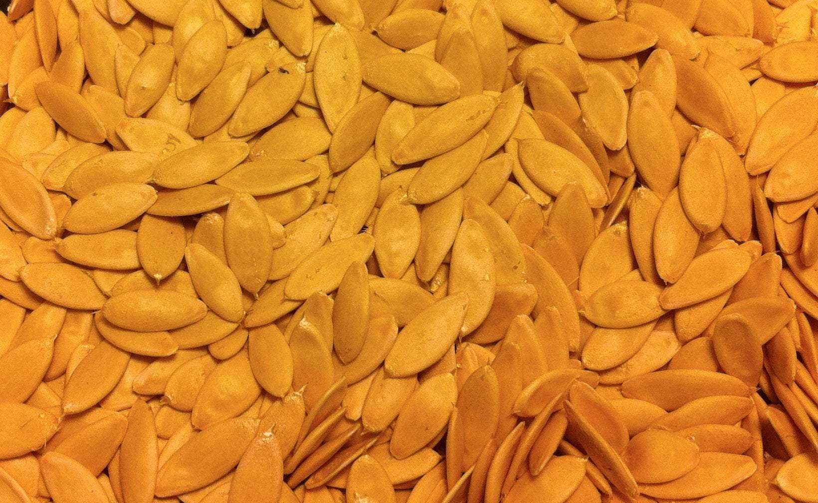 Seed saving is an easy way to collect and preserve seed varieties.  