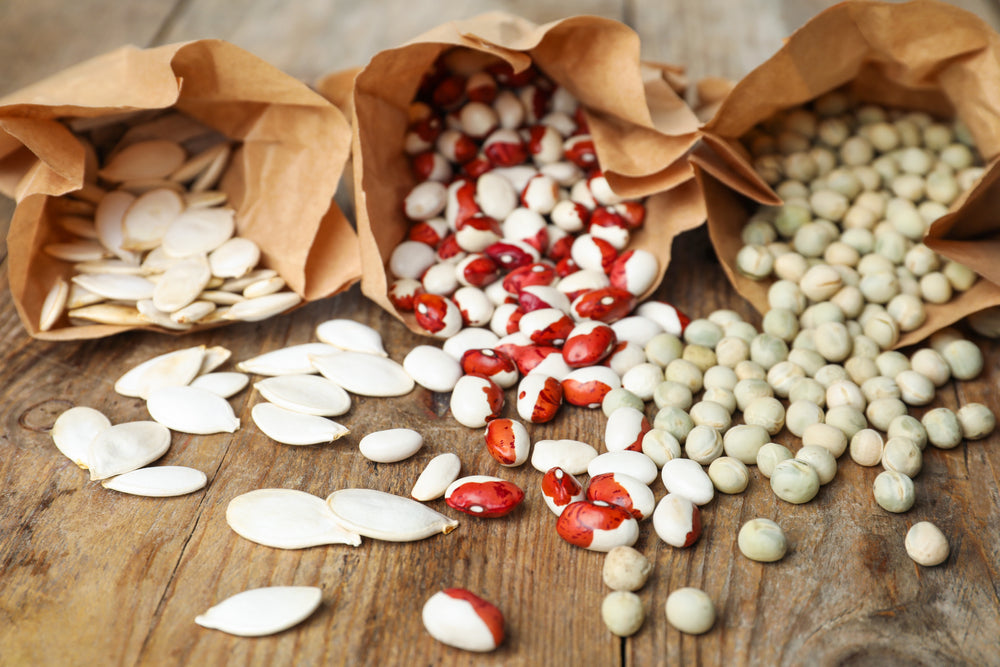 Seed Shelf Life Demystified: How Long Are Your Vegetable Seeds Good For?