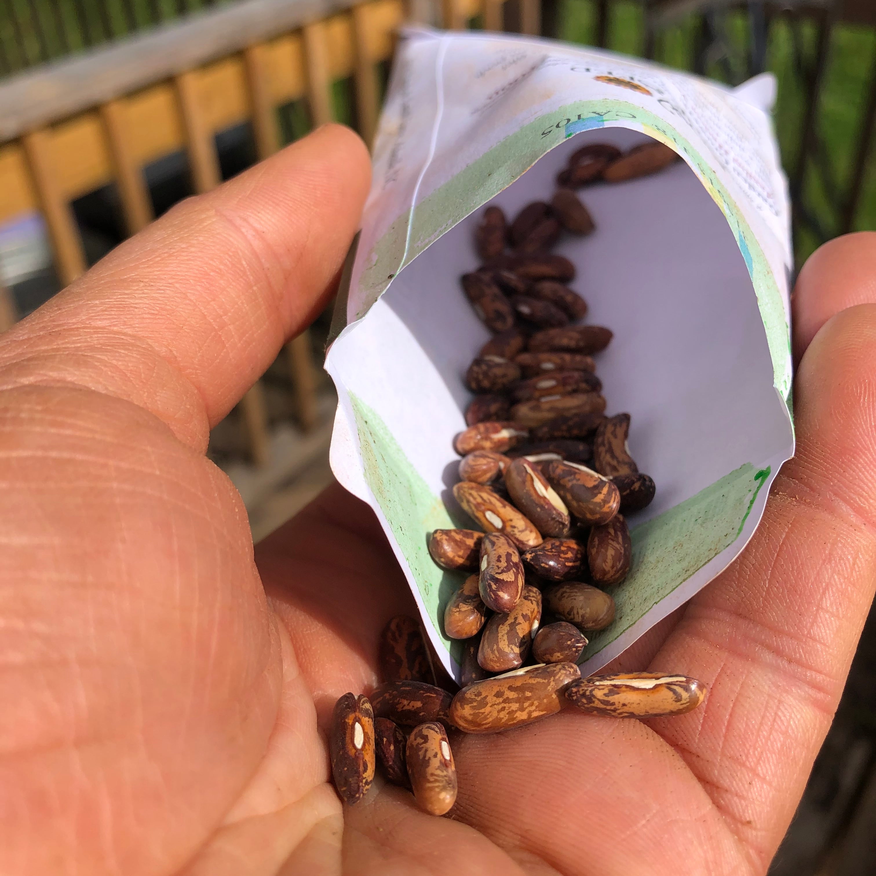 Starting Seeds:  Getting Started, Troubleshooting, and Beyond