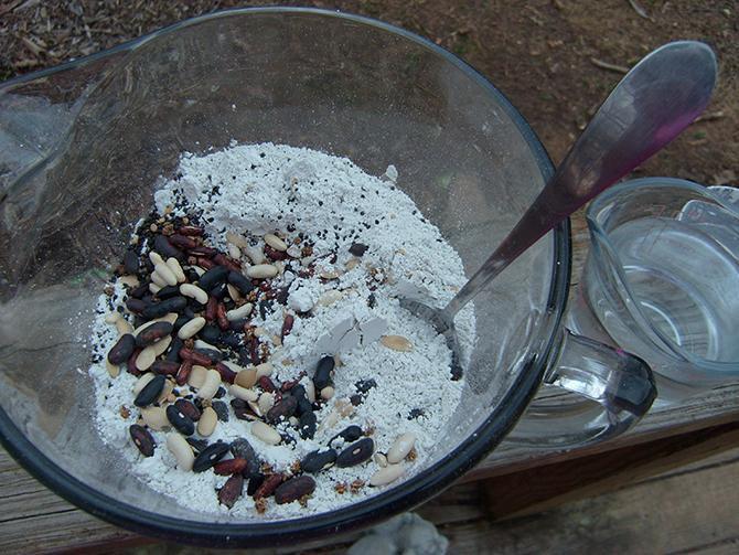 How to Make Seed Bombs
