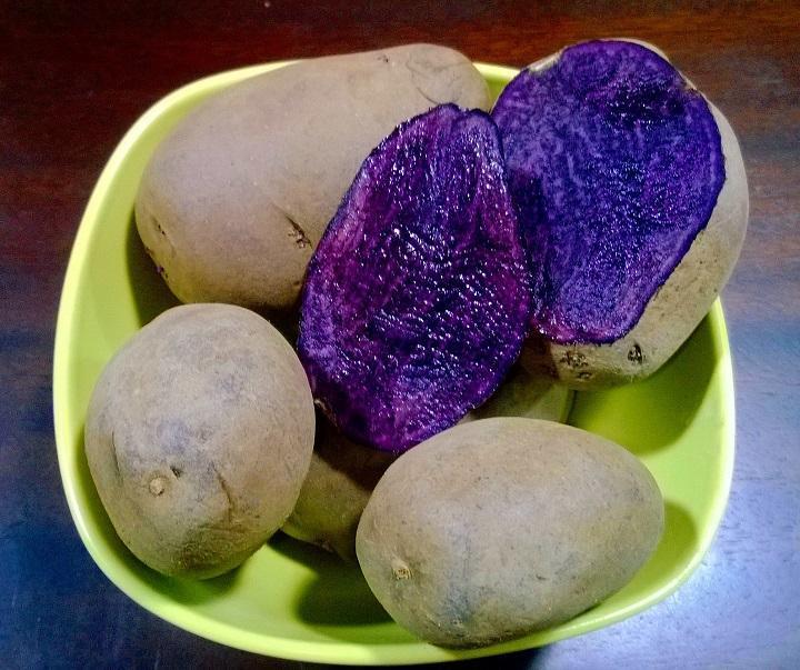 Pre_order non GMO, USDA organic, seed potatoes from Sow True Seed Asheville NC anytime during the year. 