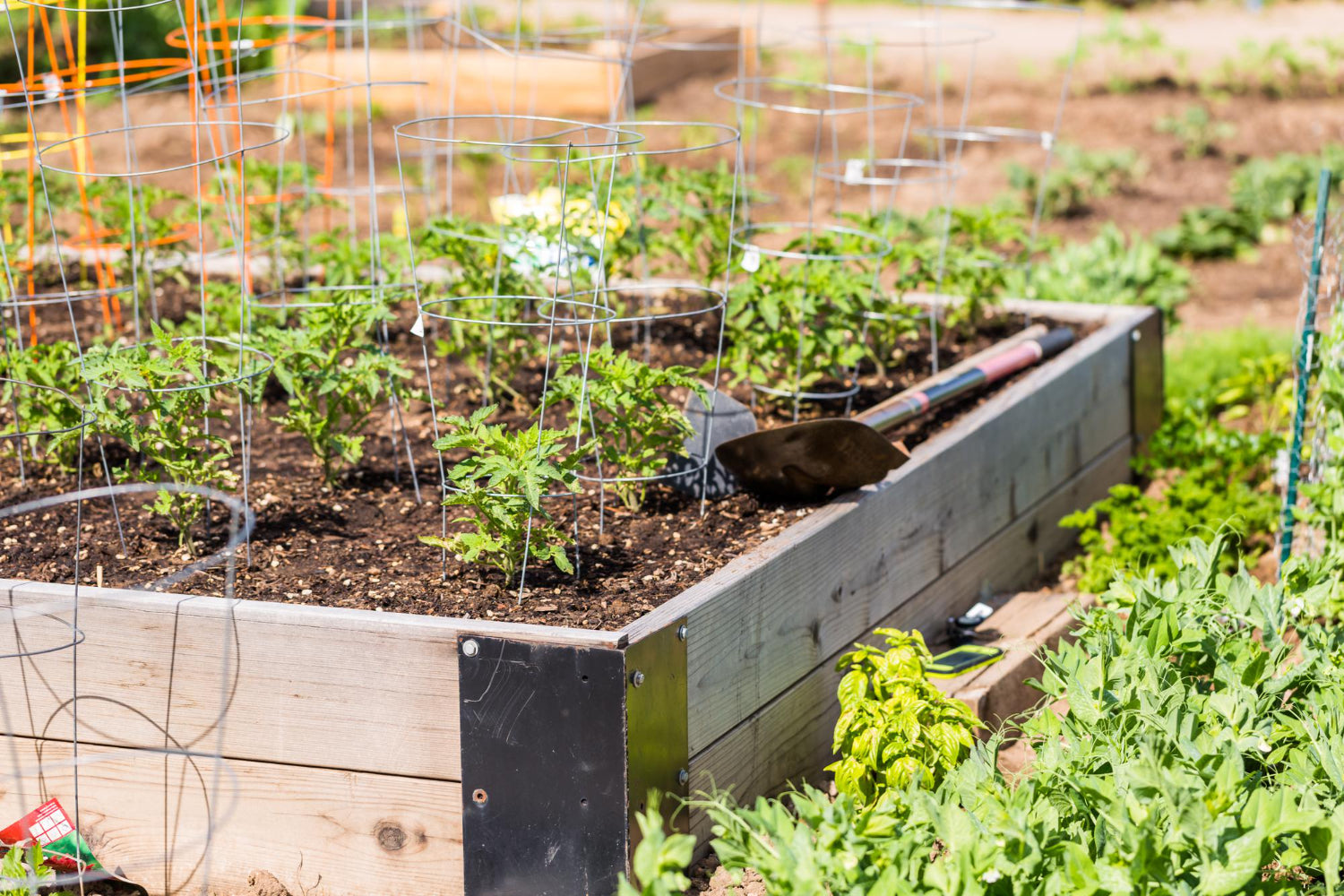 Raised Garden Bed Ideas for Your Spring Planting