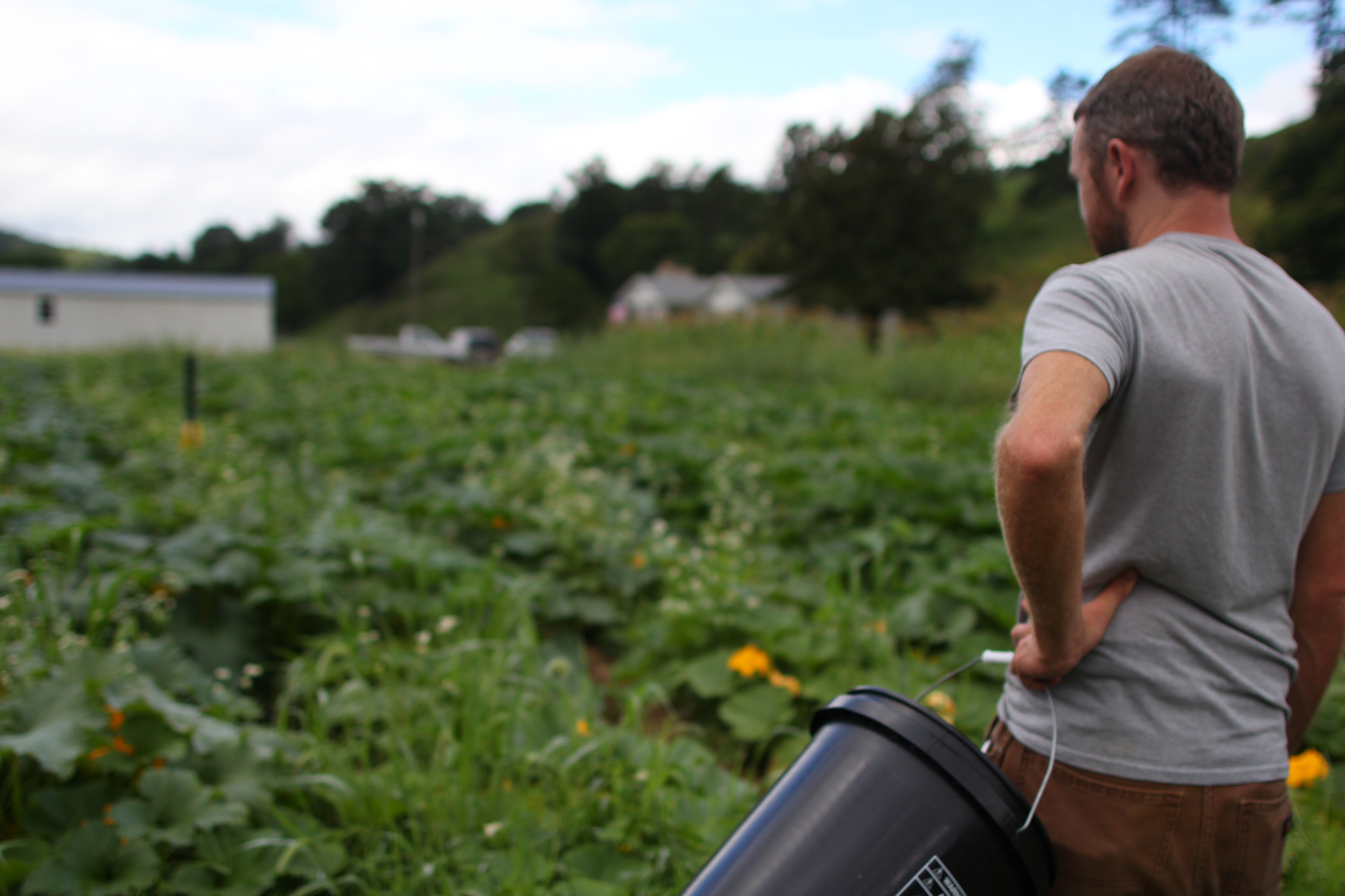 Michael Rayburn is one of our seed growers in Western North Carolina