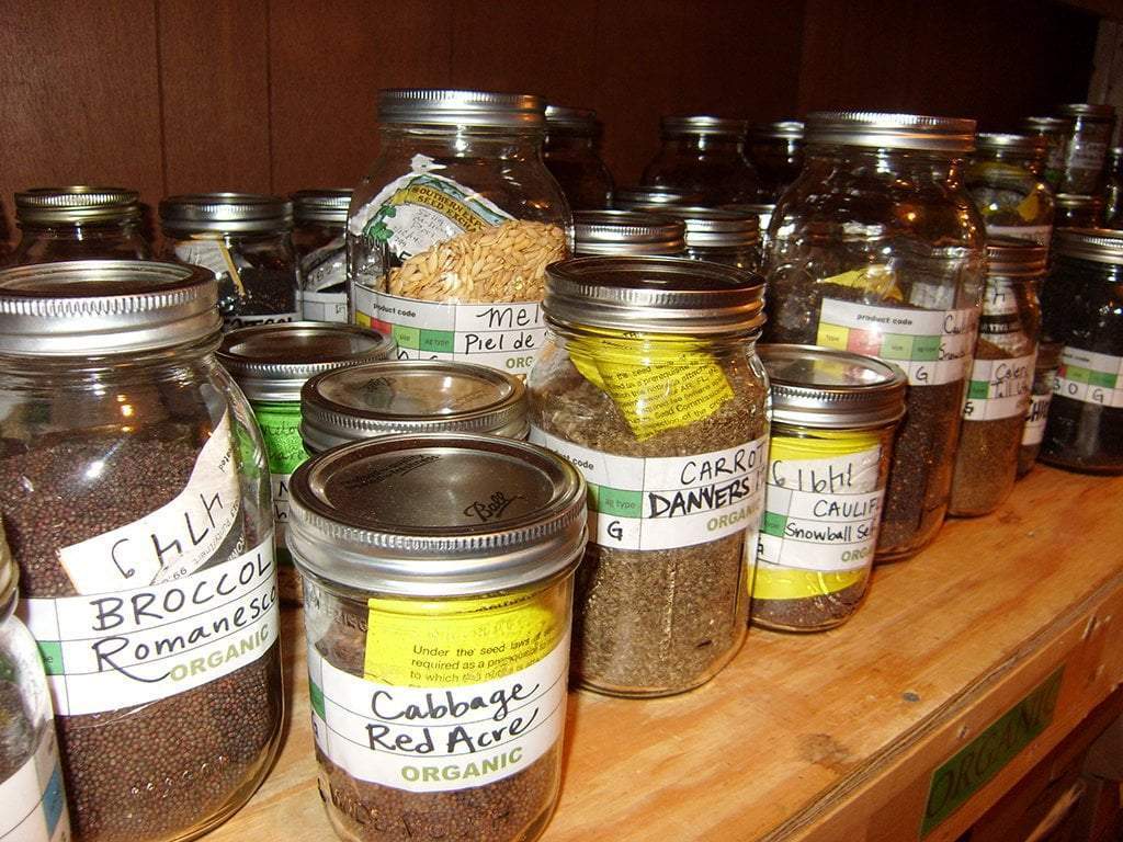 How to Store Seeds for Years!