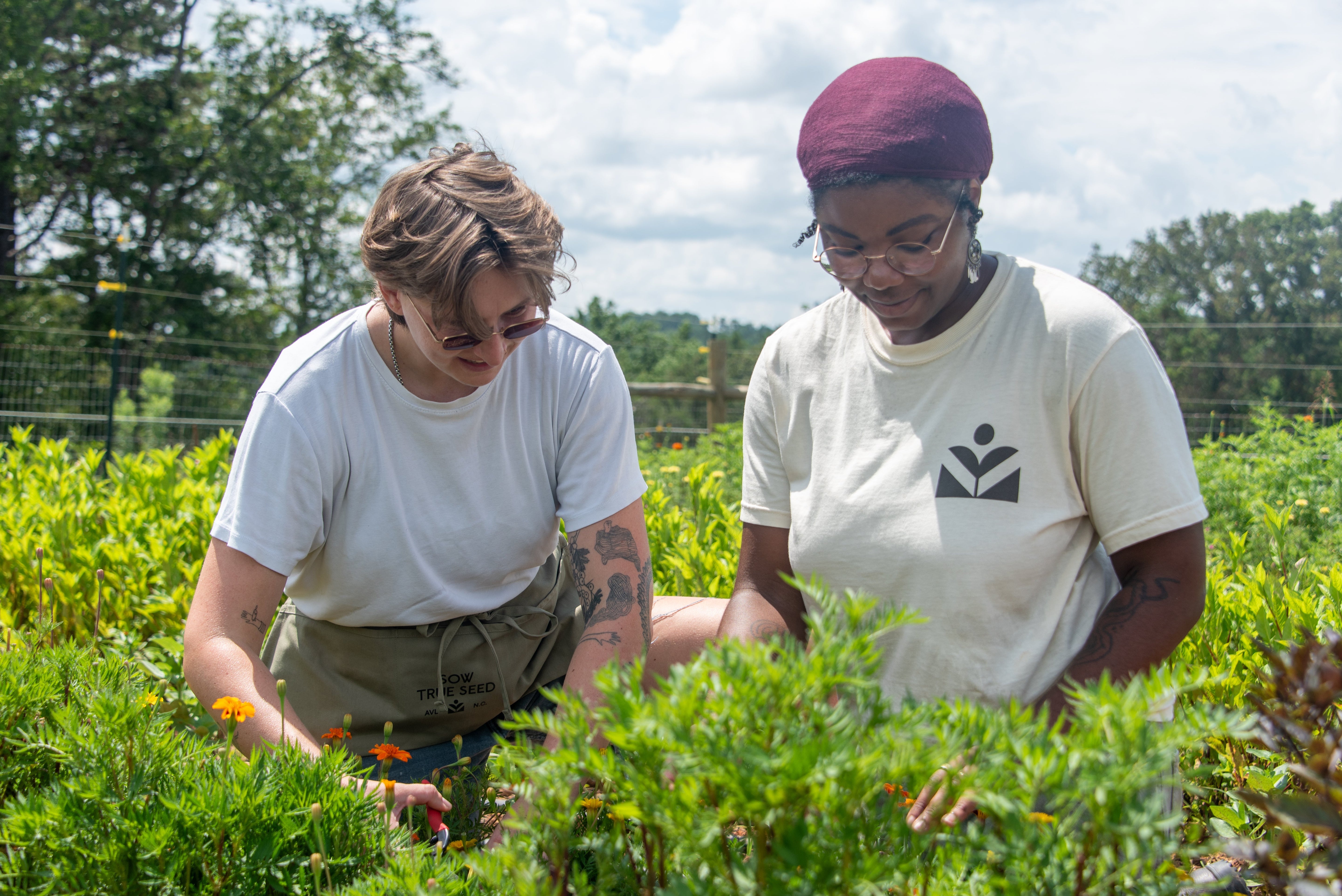 Sow True Seed: Our Generative AI Policy