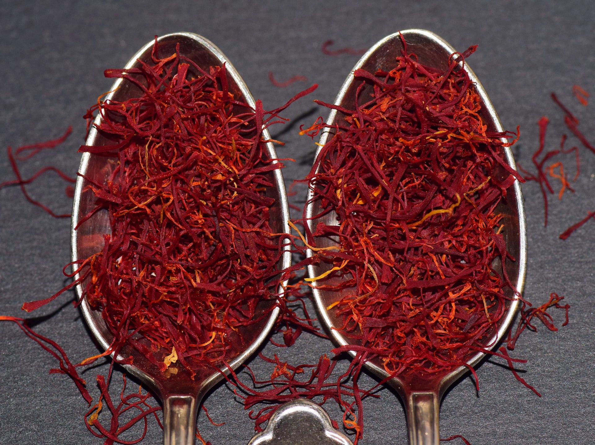 Grow Your Own Saffron!