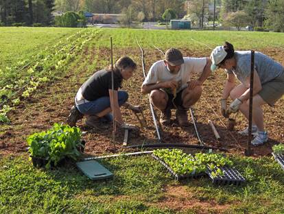 Growing Community Series: Sand Hill Community Garden