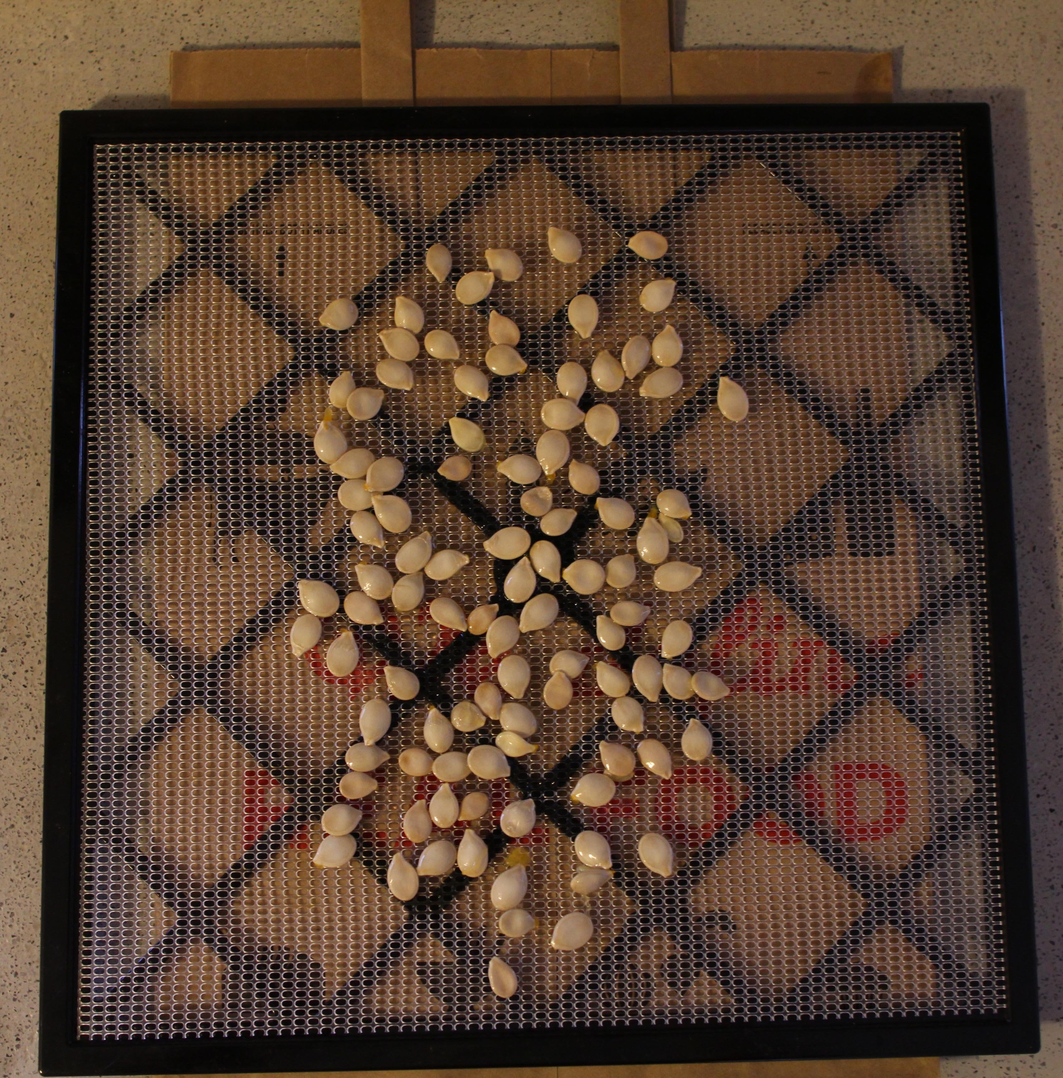 How to Save Squash Seeds