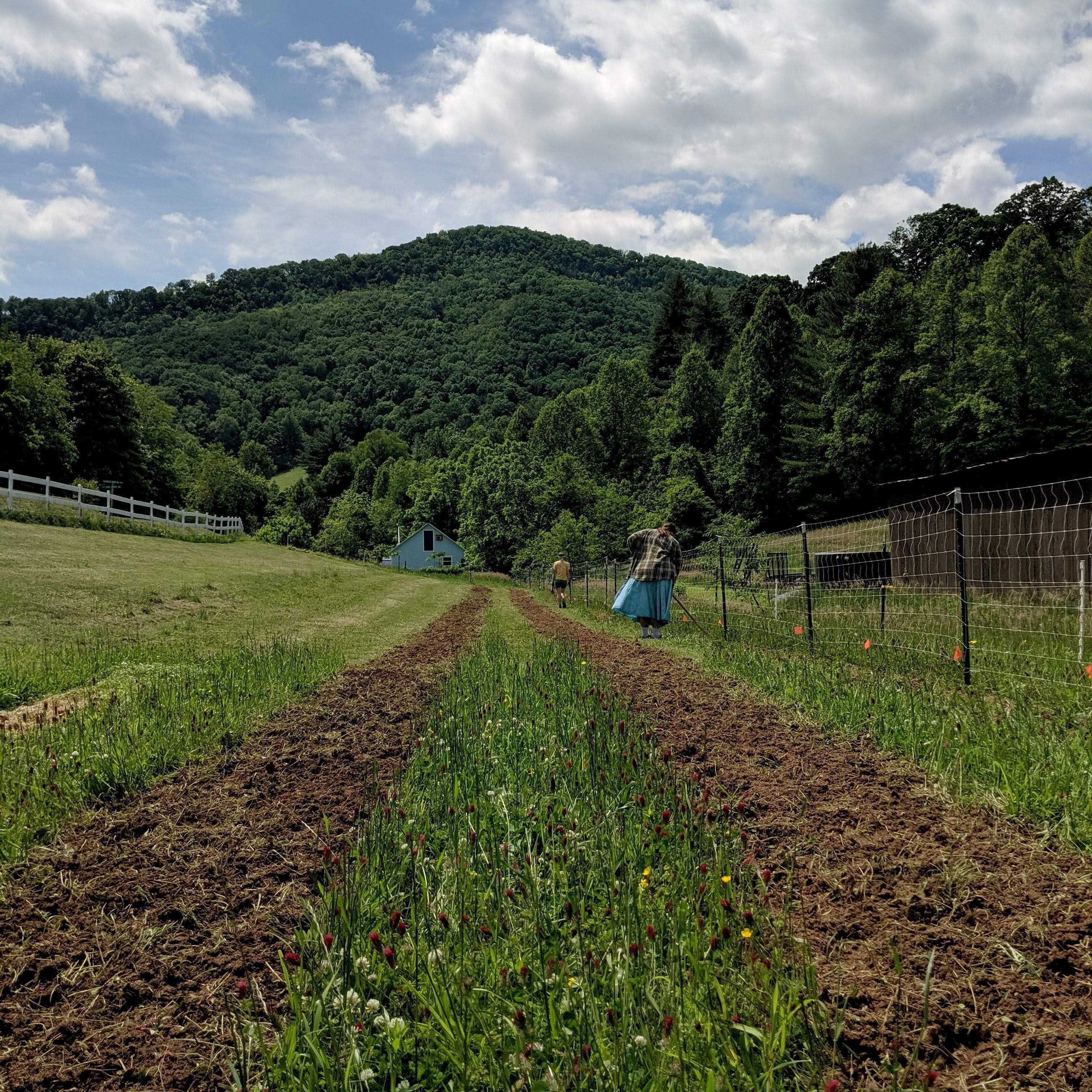 Work Day at Franny's Farm