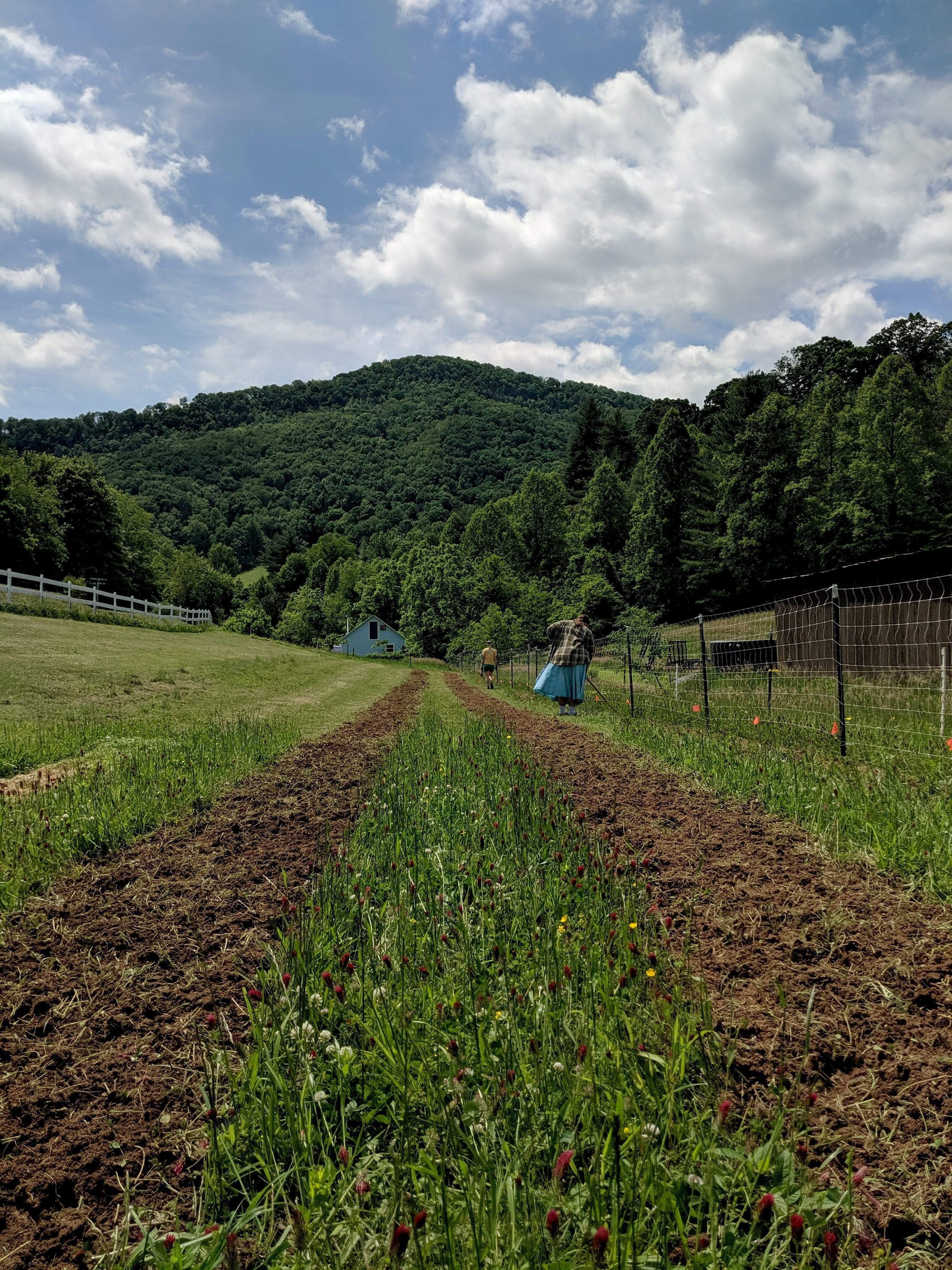 Work Day at Franny's Farm