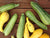 How to Preserve your Squash Harvest: Alternatives to Canning