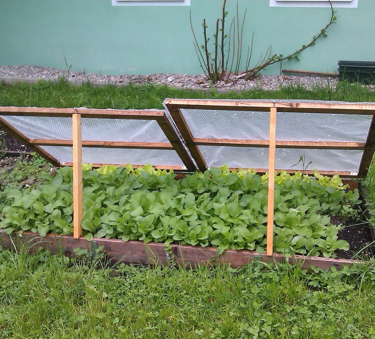 Garden in Cold Frames this Winter! The Why and the How