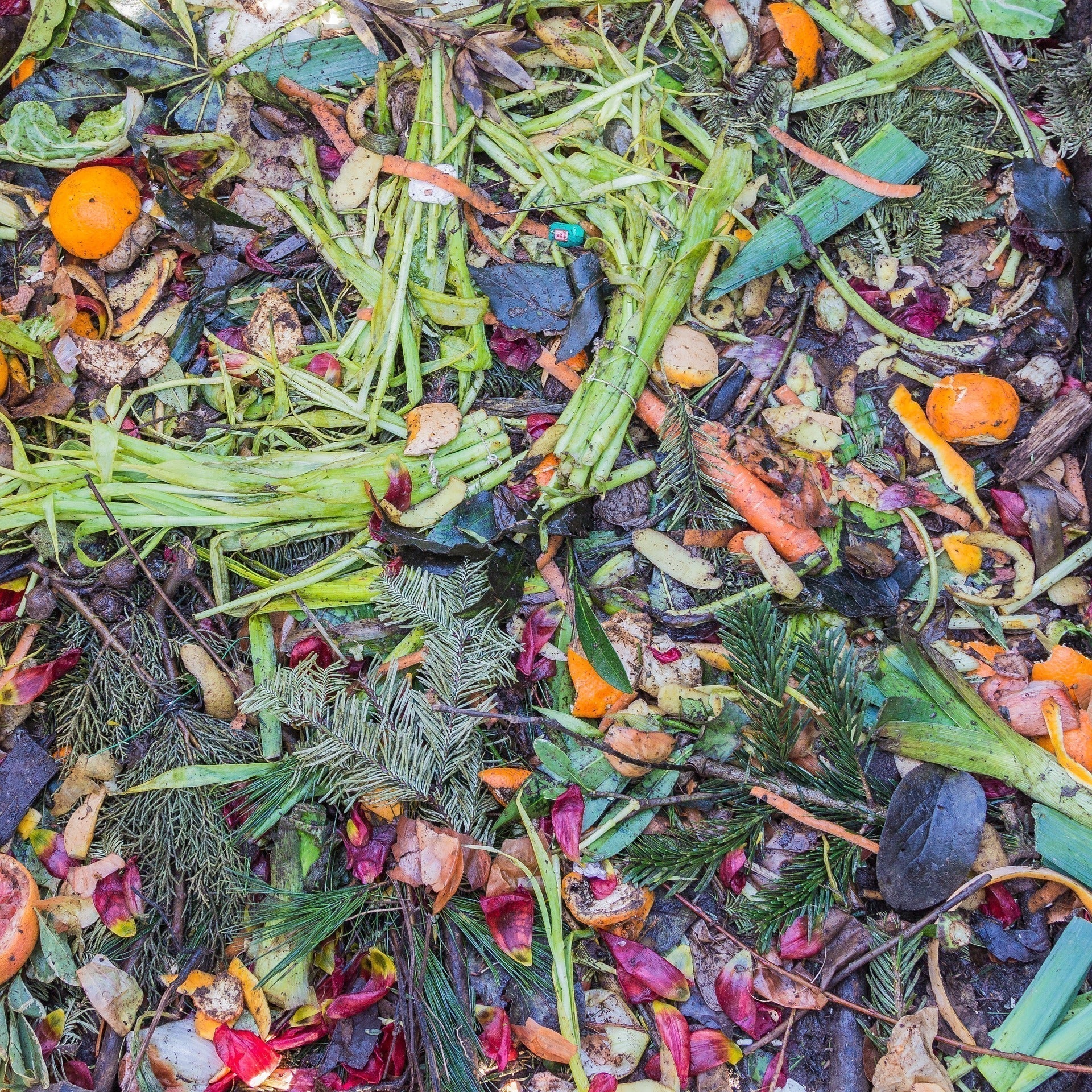 Composting 101: A Beginner’s Guide to Composting in Your Garden
