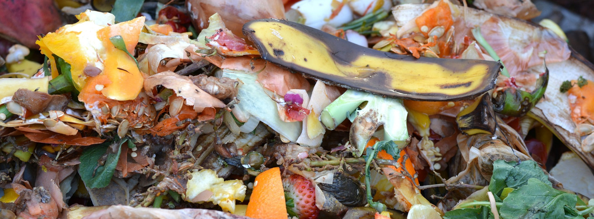 Compost Tea: DIY Natural Fertilizer