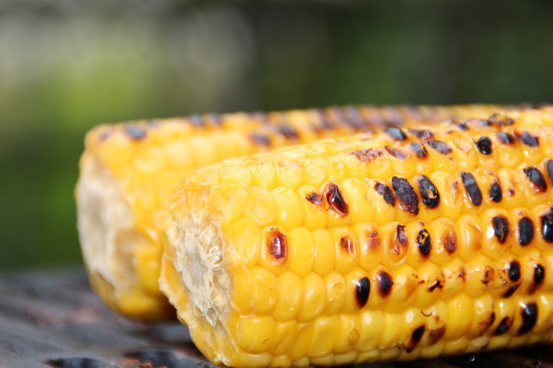 How to Grow Corn in Your Home Garden