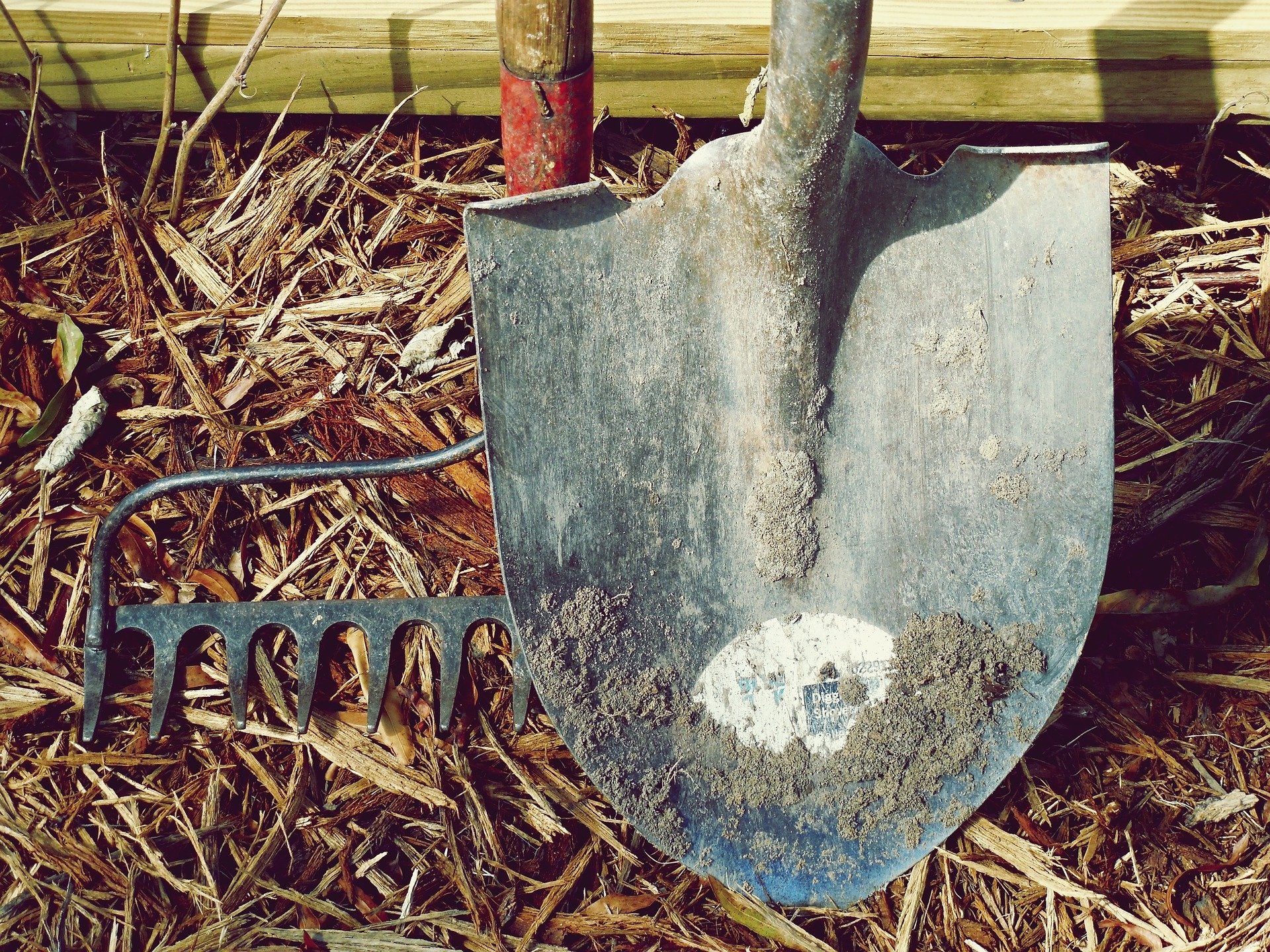 January Garden Chores for All USDA Grow Zones
