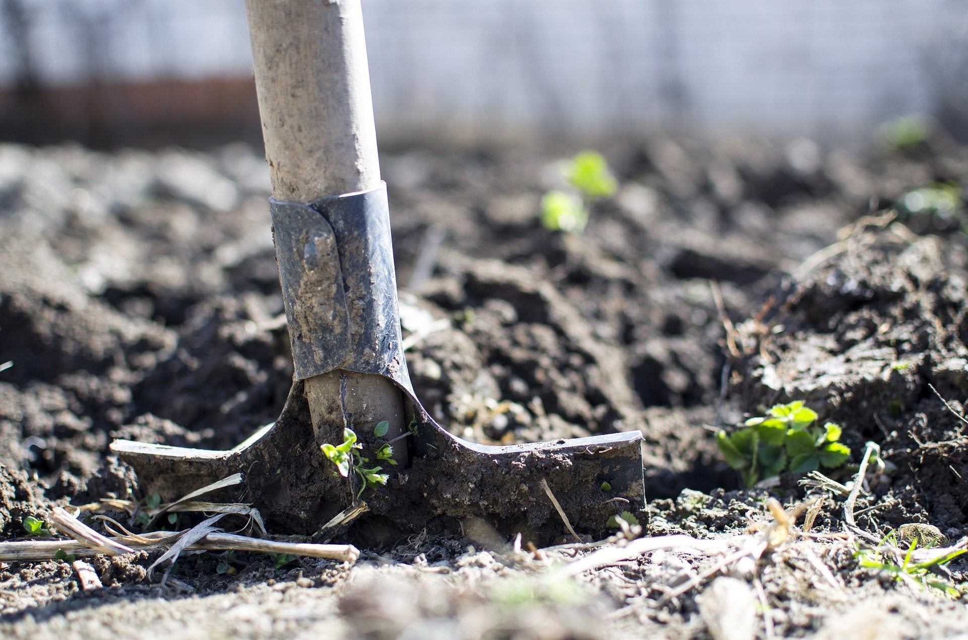 February Garden Chores for All USDA Grow Zones