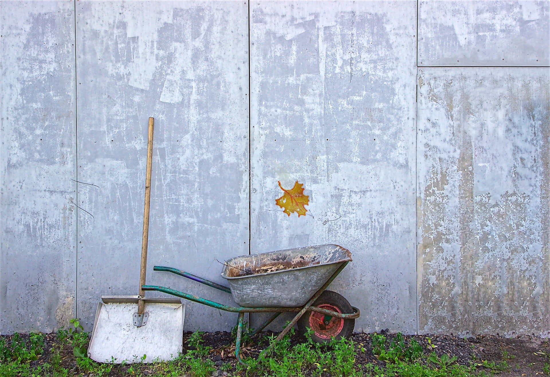 March Garden Chores for All USDA Grow Zones