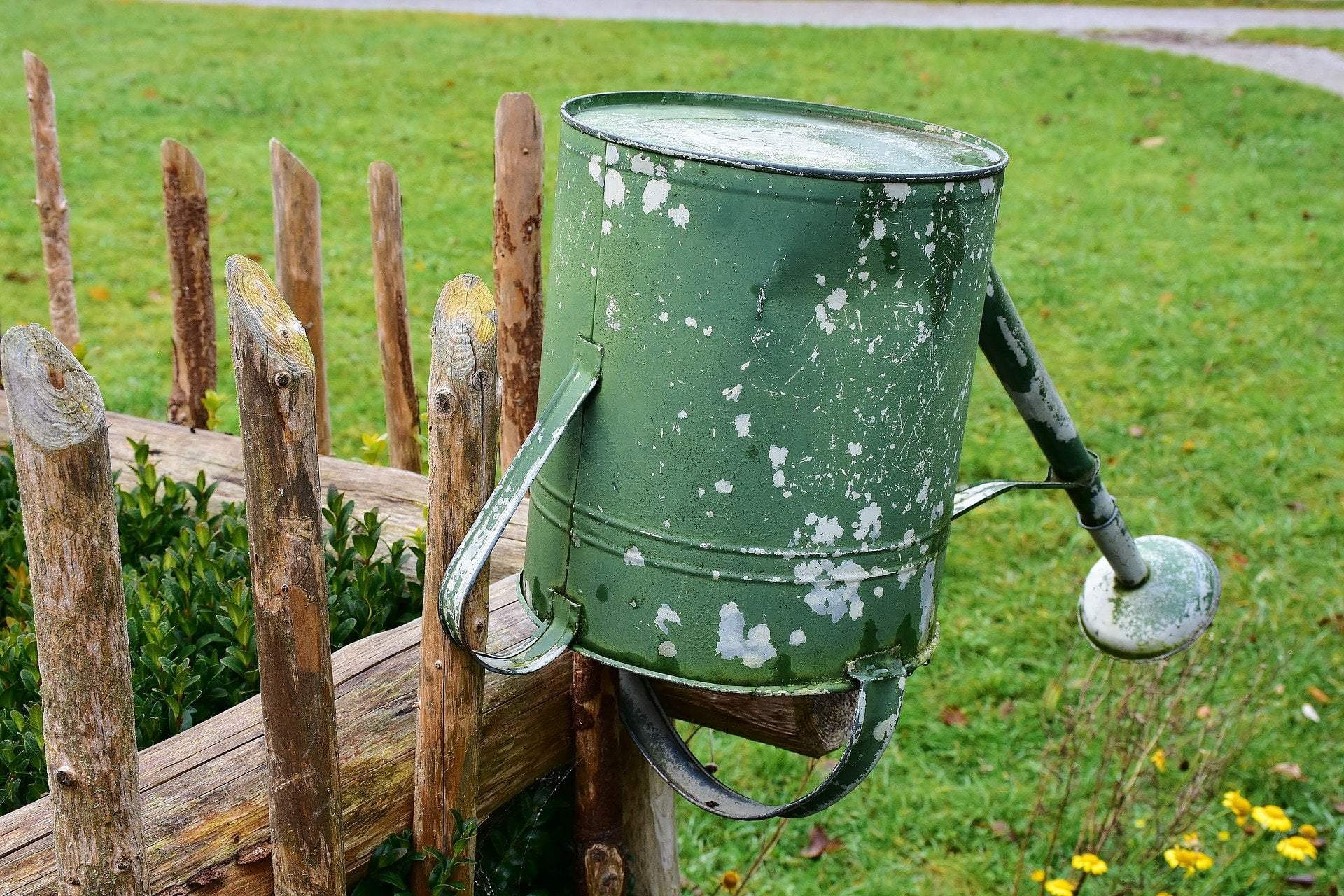 Shallow watering deters your plants from putting down deep roots, which would make them more resilient when drought hits.