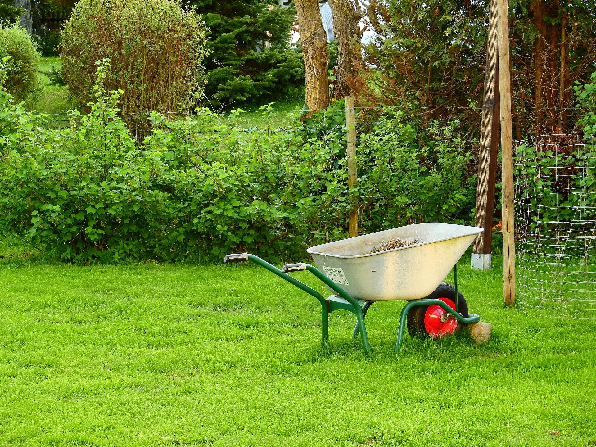 May Garden Chores for All USDA Grow Zones