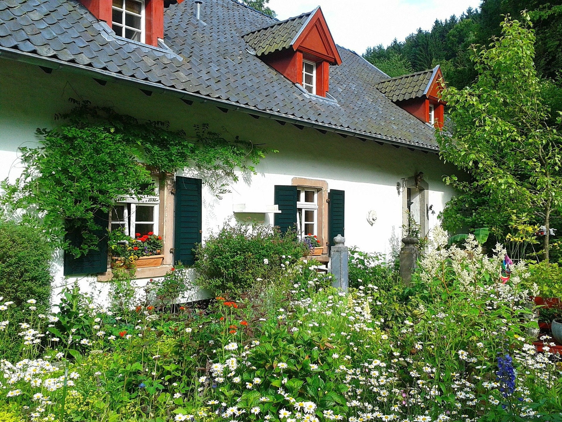 Combining plant purposes in one area (veggies, flowers, herbs, fruits) is also a principal of permaculture.