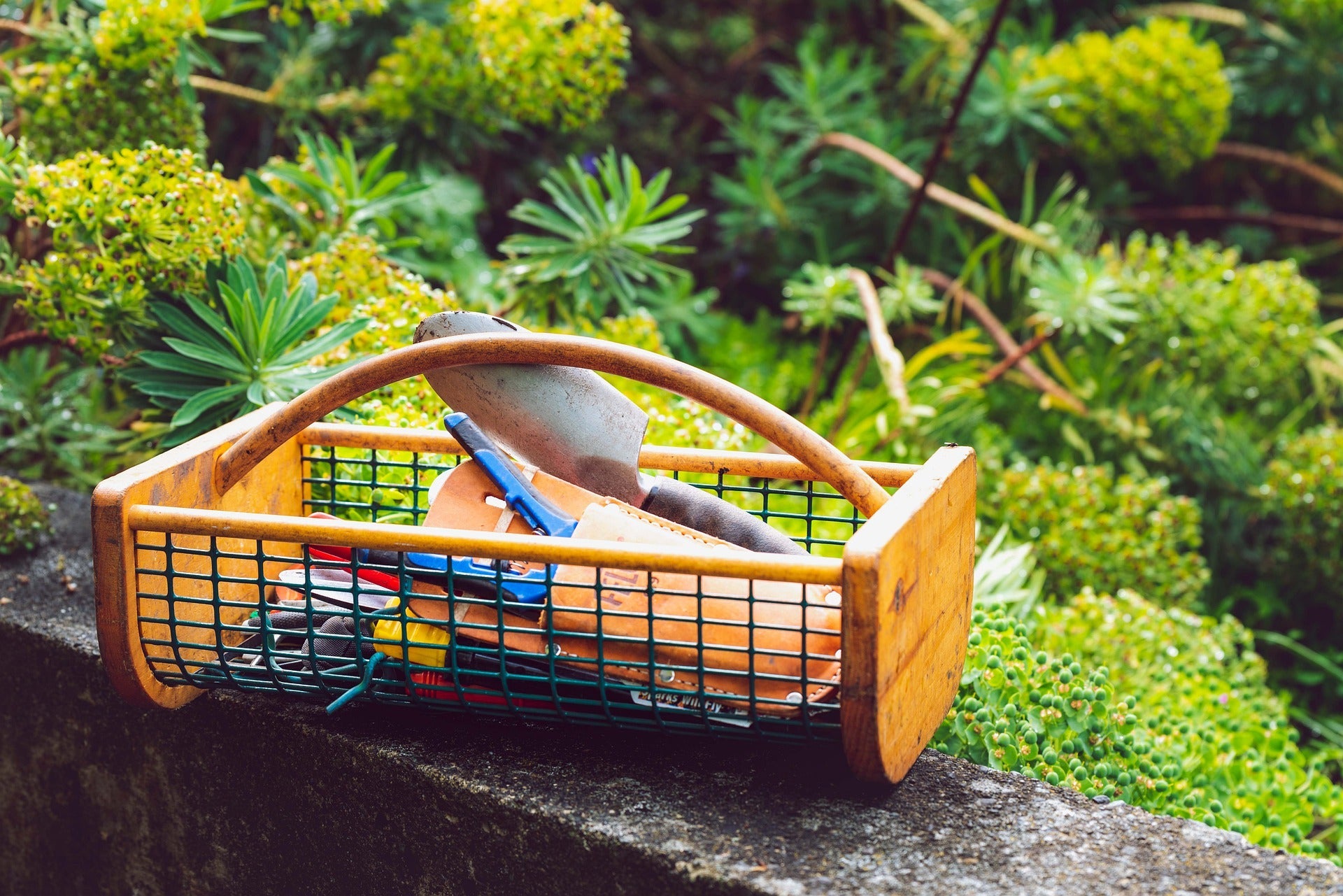 Zone 4 - Monthly Garden Calendar: Chores and Planting Guide