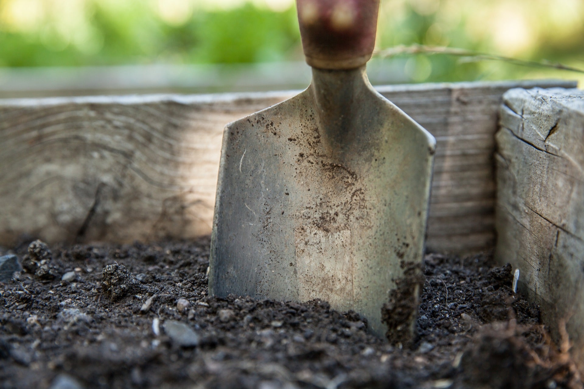 Fertilizing and Amending the Garden