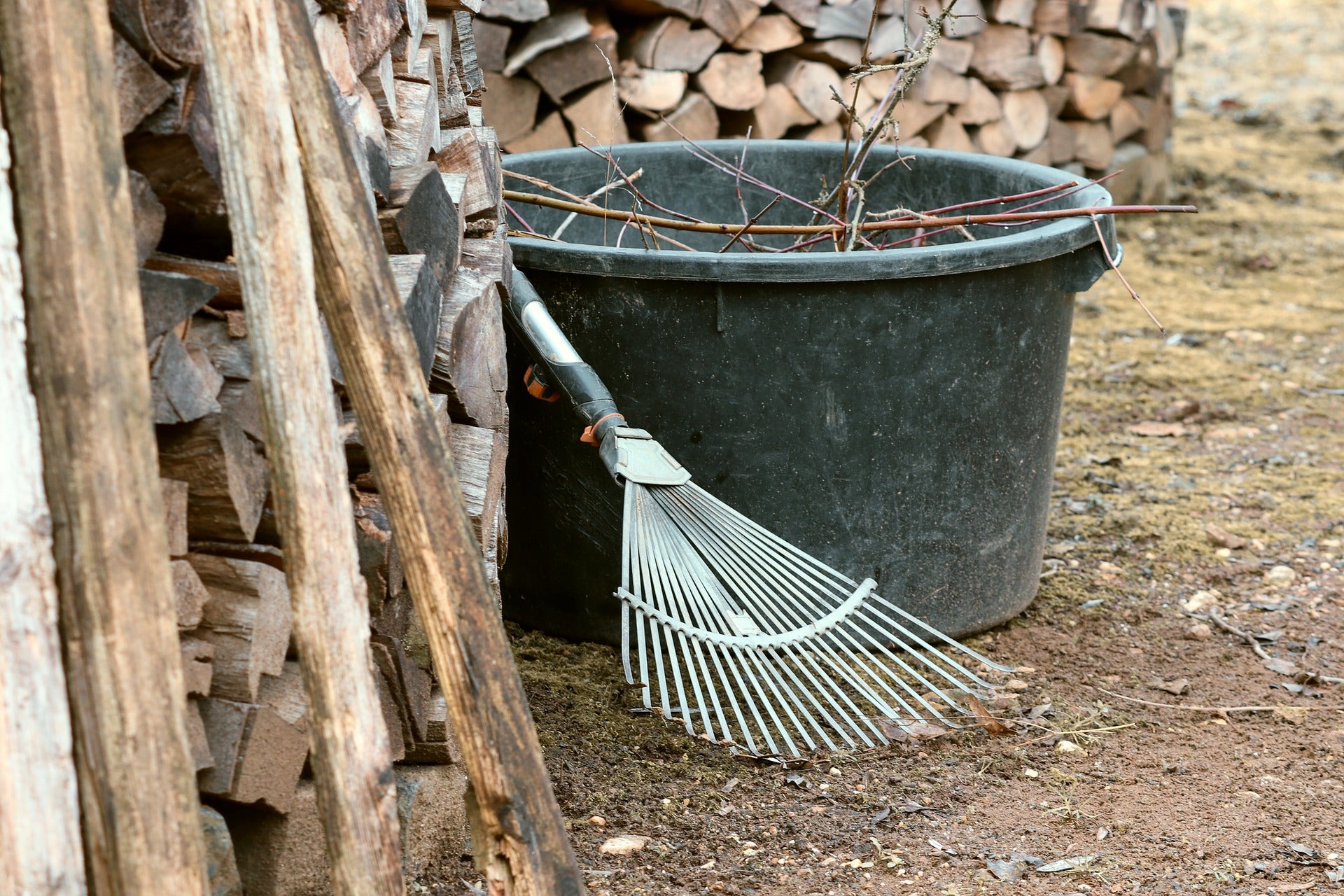 June Garden Chores for All USDA Grow Zones