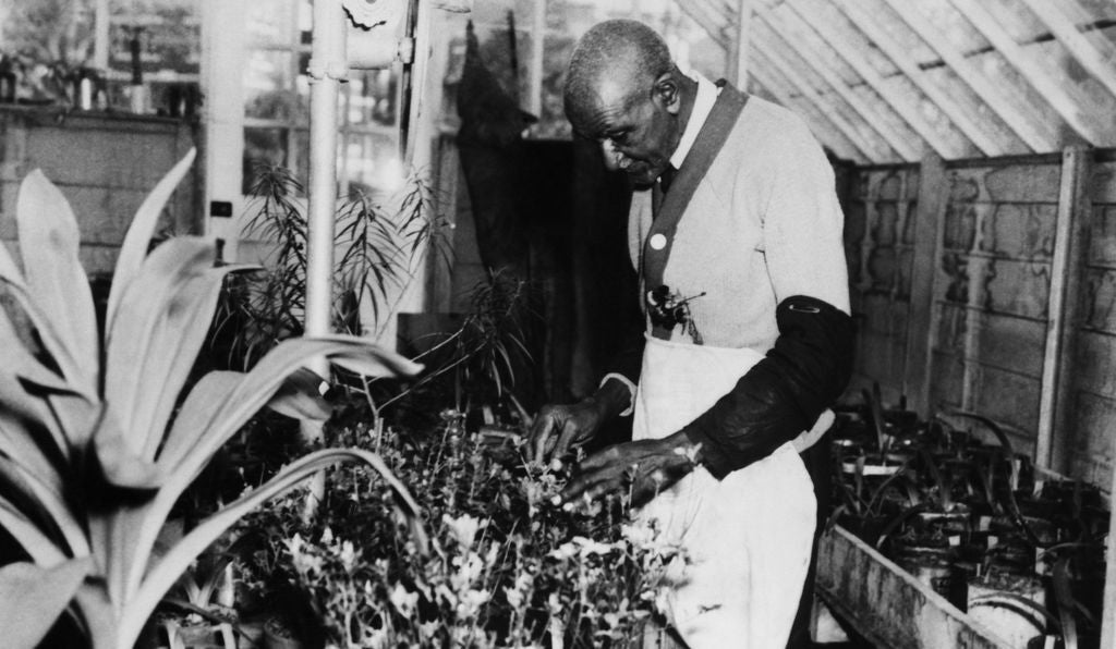 George Washington Carver, the Father of Sustainable Agriculture