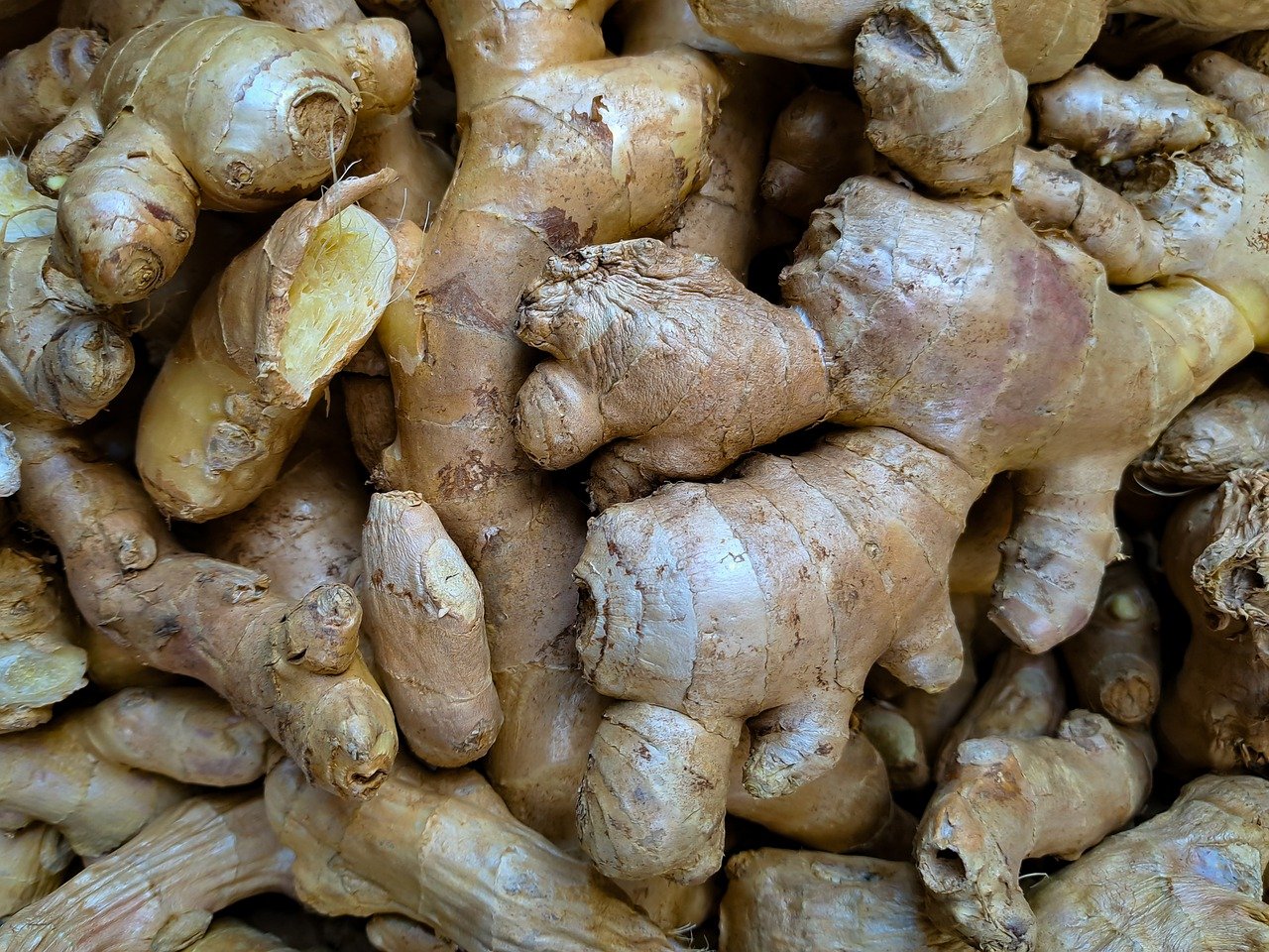 Grow your own ginger with Sow True Seed. 