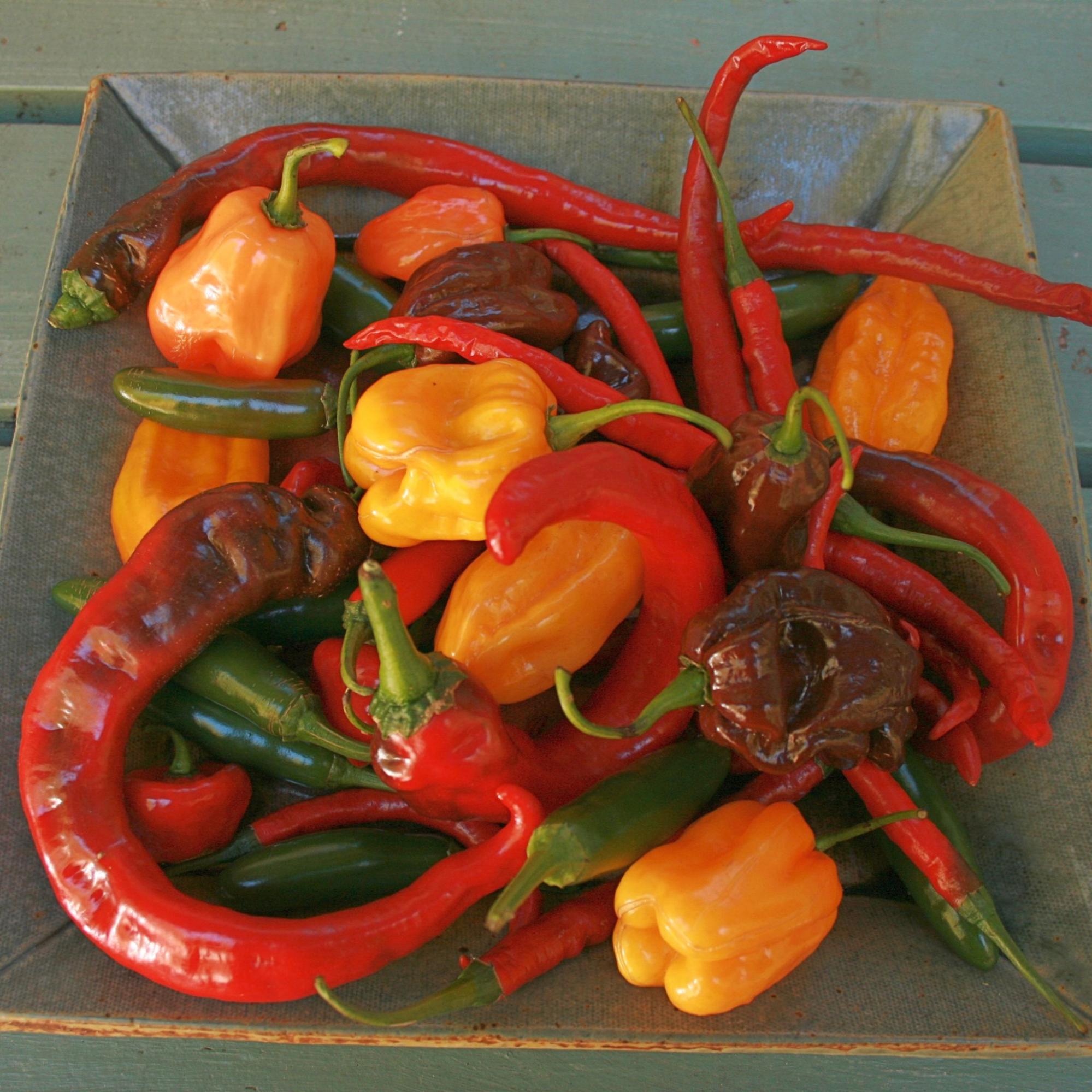10 Types of Peppers You Can Grow at Home