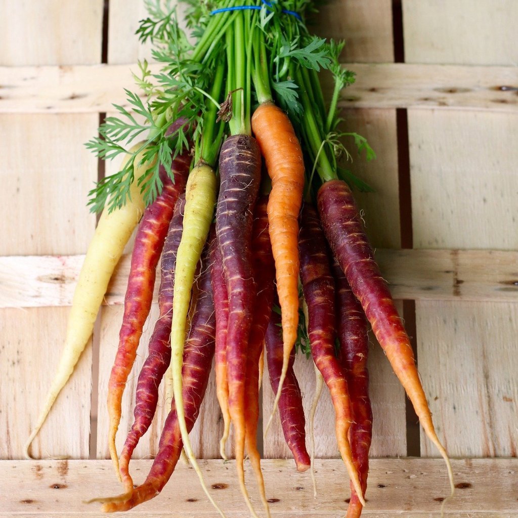 The Different Types of Carrots, Explained for Home Gardeners