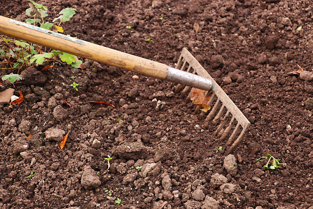 Gardening With Grow Bags: Complete Guide for Zones 5 & 6 — Fox Run  Environmental Education Center