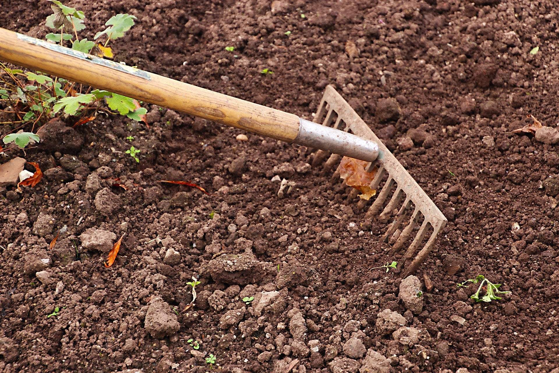 Soil composition and health is key to your gardens production and bug control. 