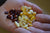 handful of red and yellow corn kernels