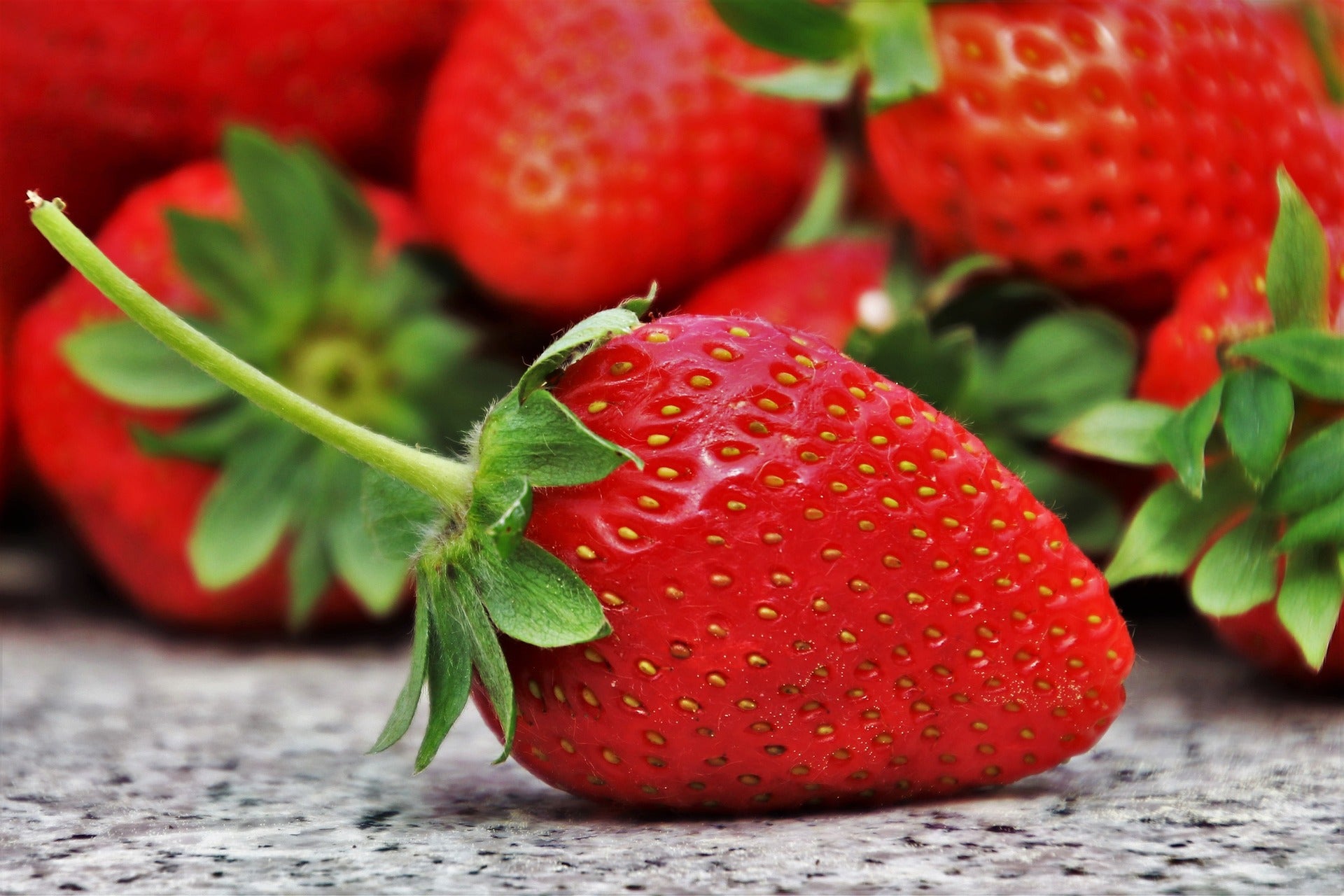 how to grow strawberries