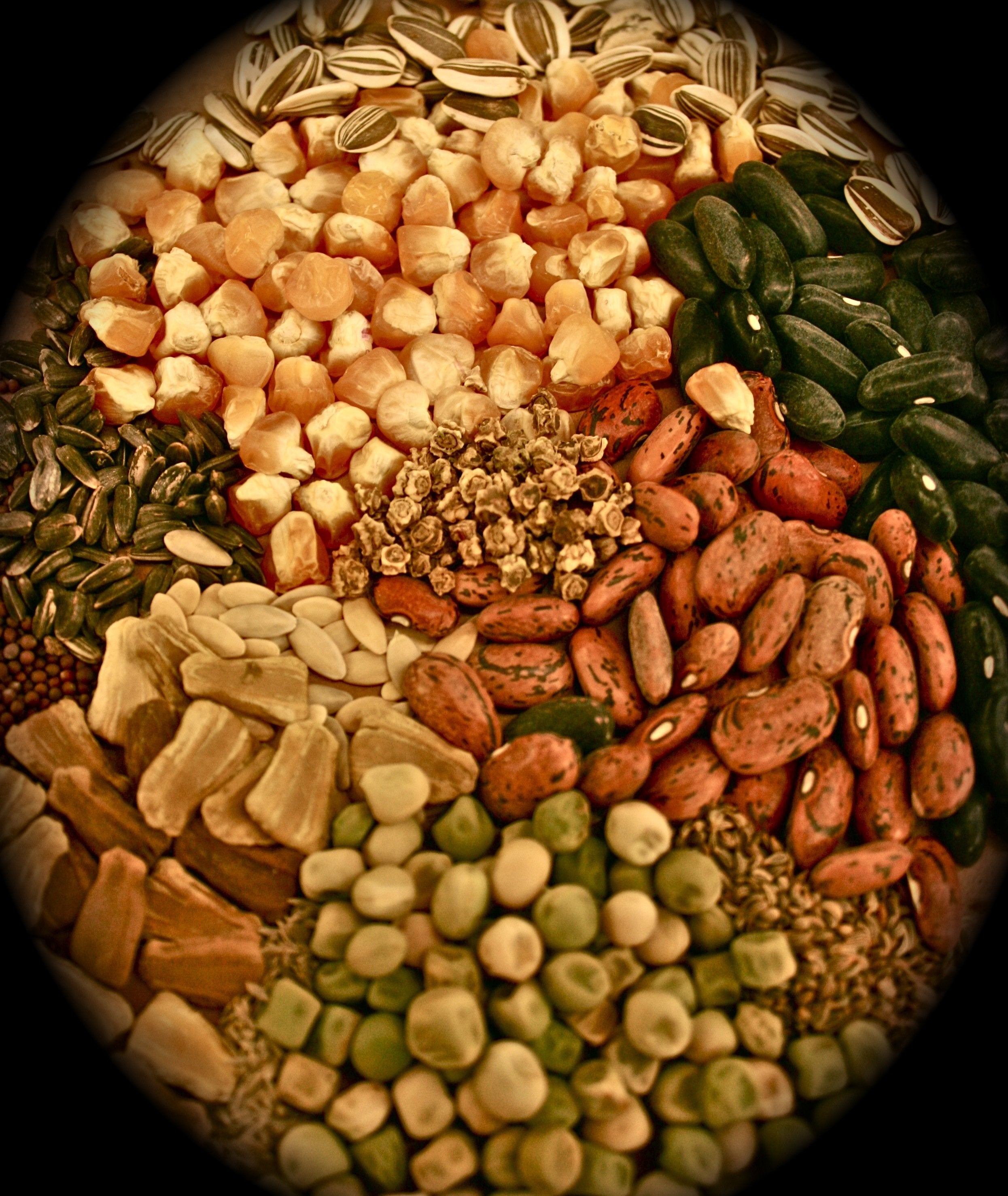 Storing seed properly helps increase the germination rate and the life of the seed.