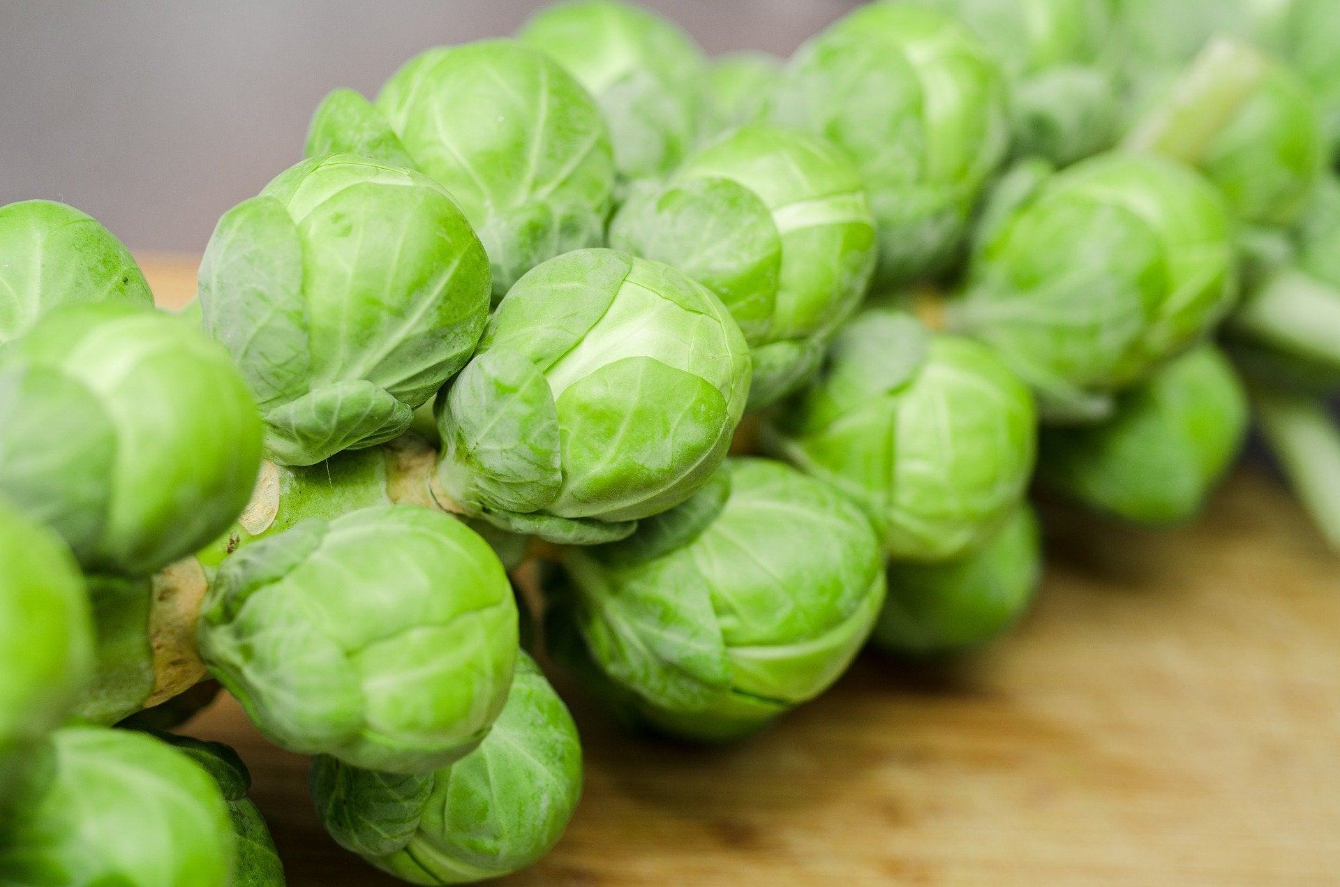 How to Grow Brussels Sprouts