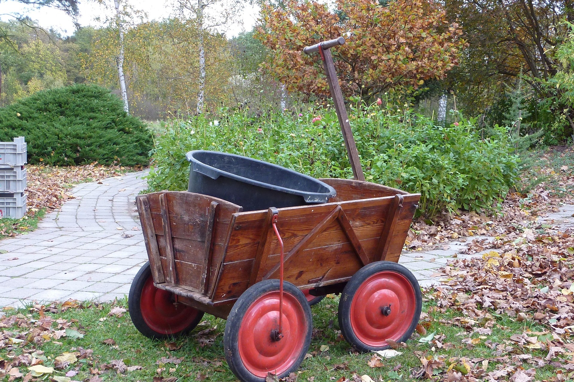 August Garden Chores for All USDA Grow Zones