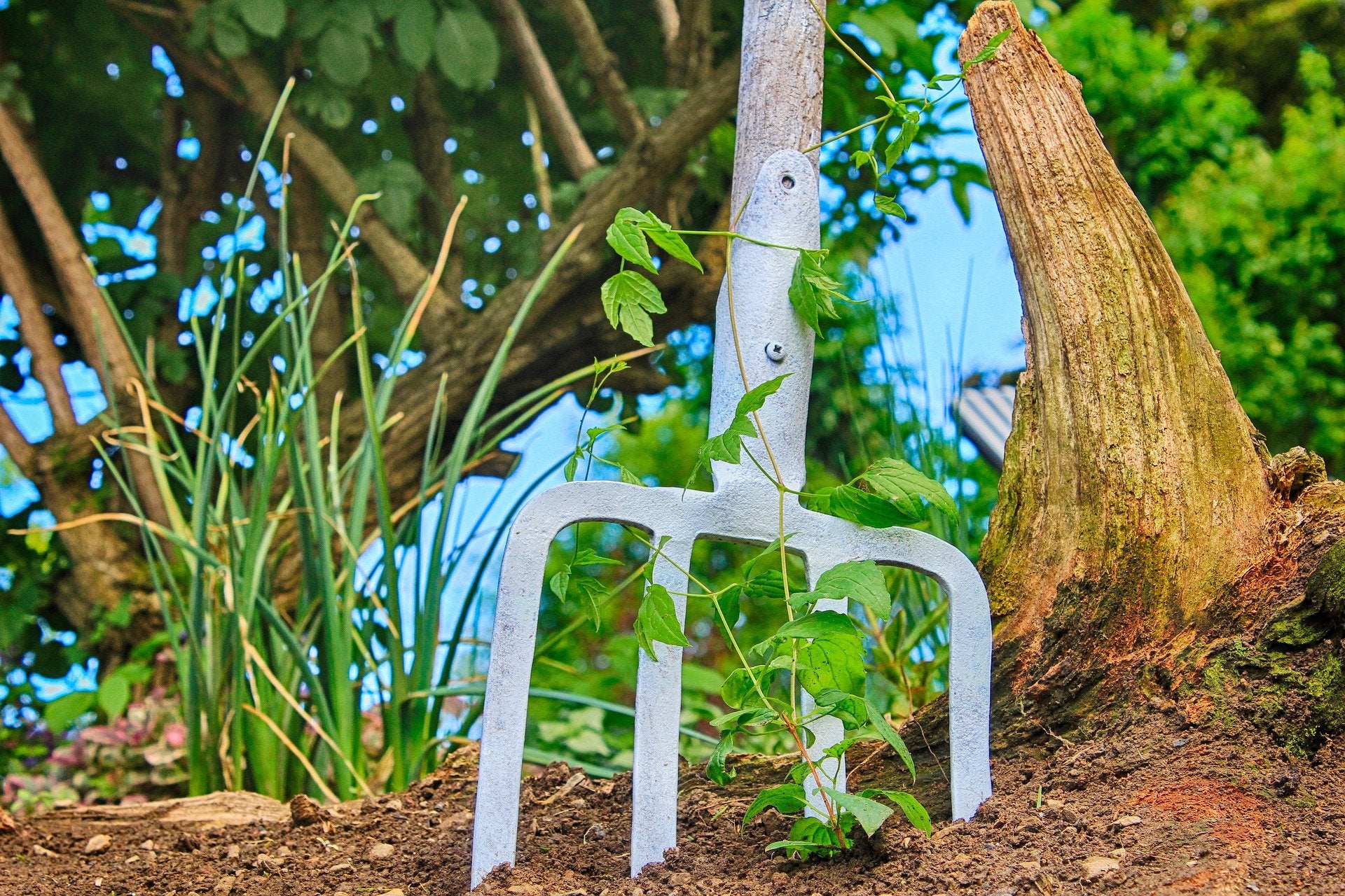 April Garden Chores for All USDA Grow Zones
