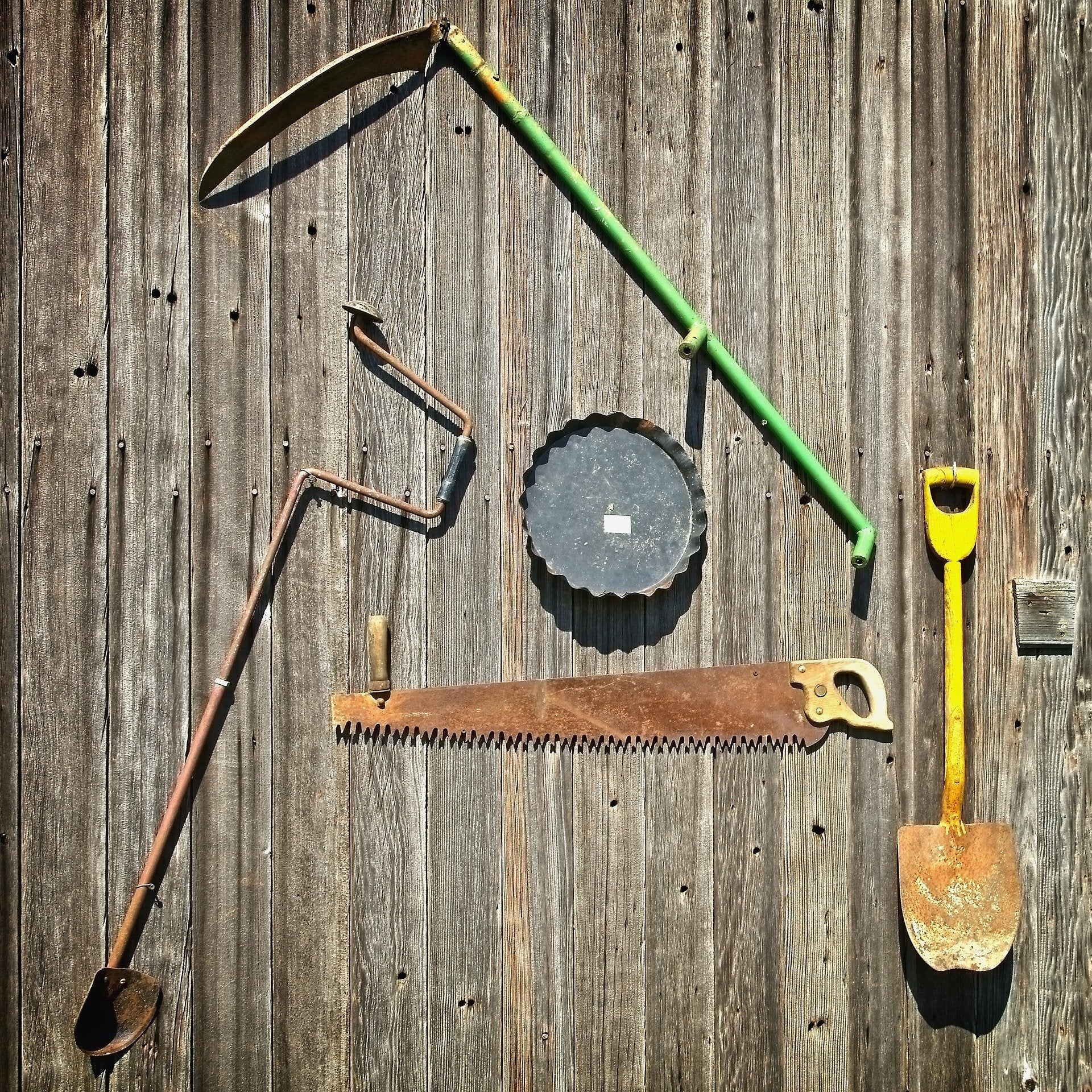Zone 8 - Monthly Garden Calendar: Chores and Planting Guide