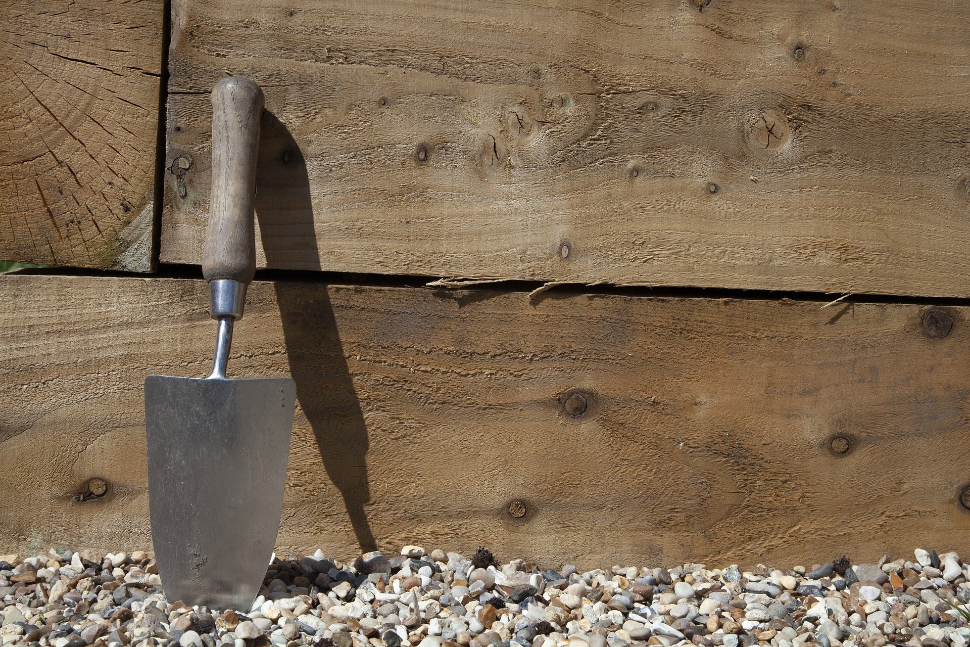 Zone 6 - Monthly Garden Calendar: Chores and Planting Guide
