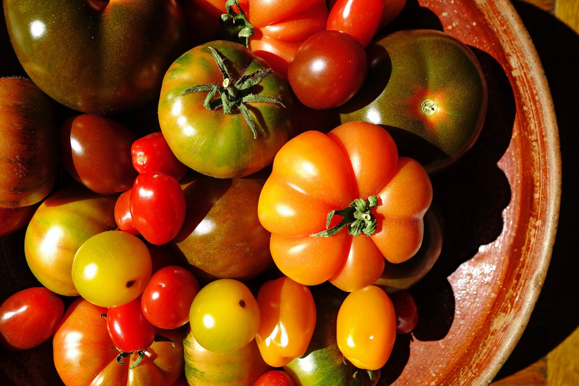Organic Red Brandywine Heirloom Tomatoes, 1 lb, Blue House Organic Farm