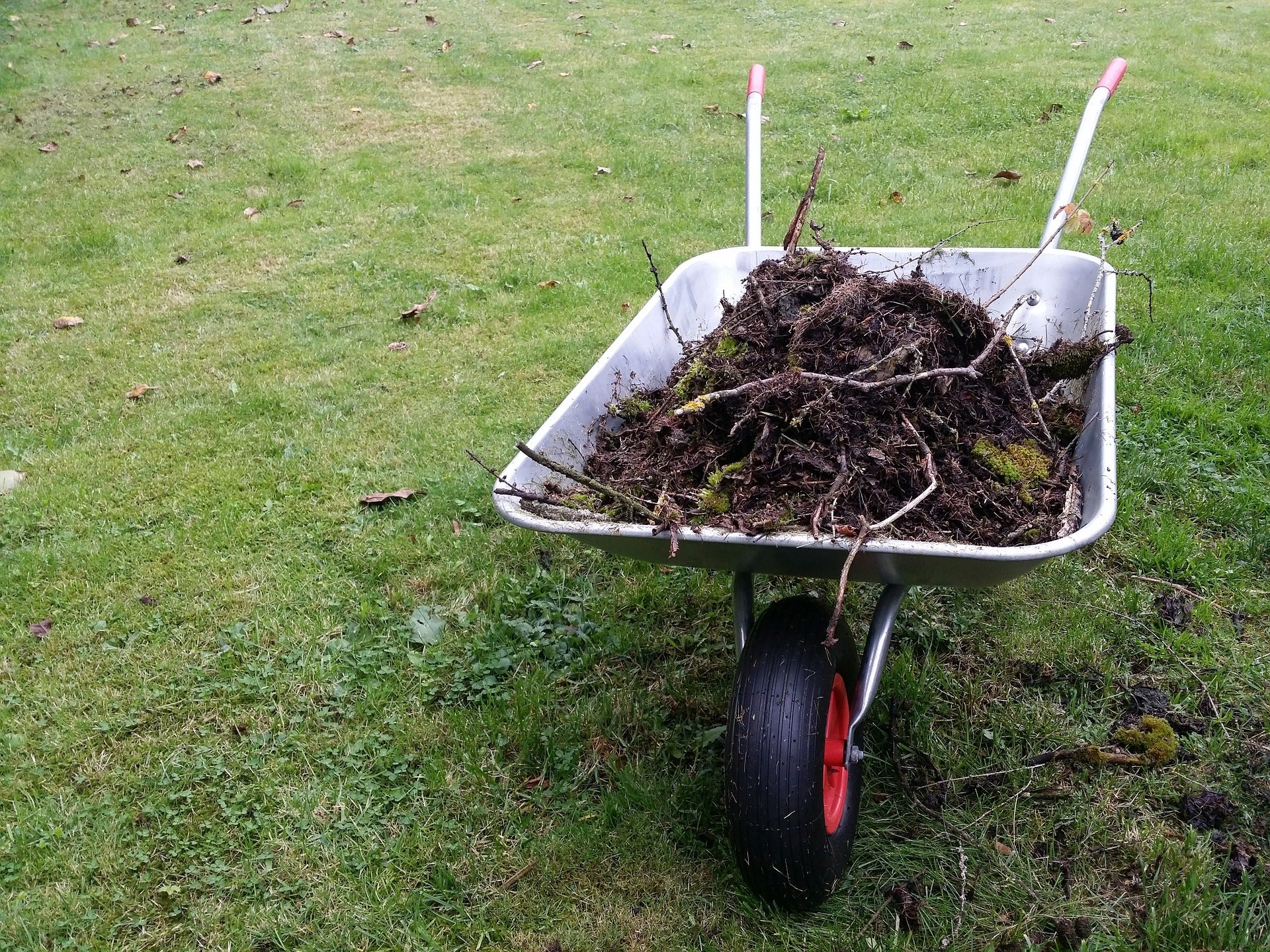 December Garden Chores for All USDA Grow Zones