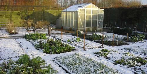 Stratify seeds in the winter time for the spring garden. 