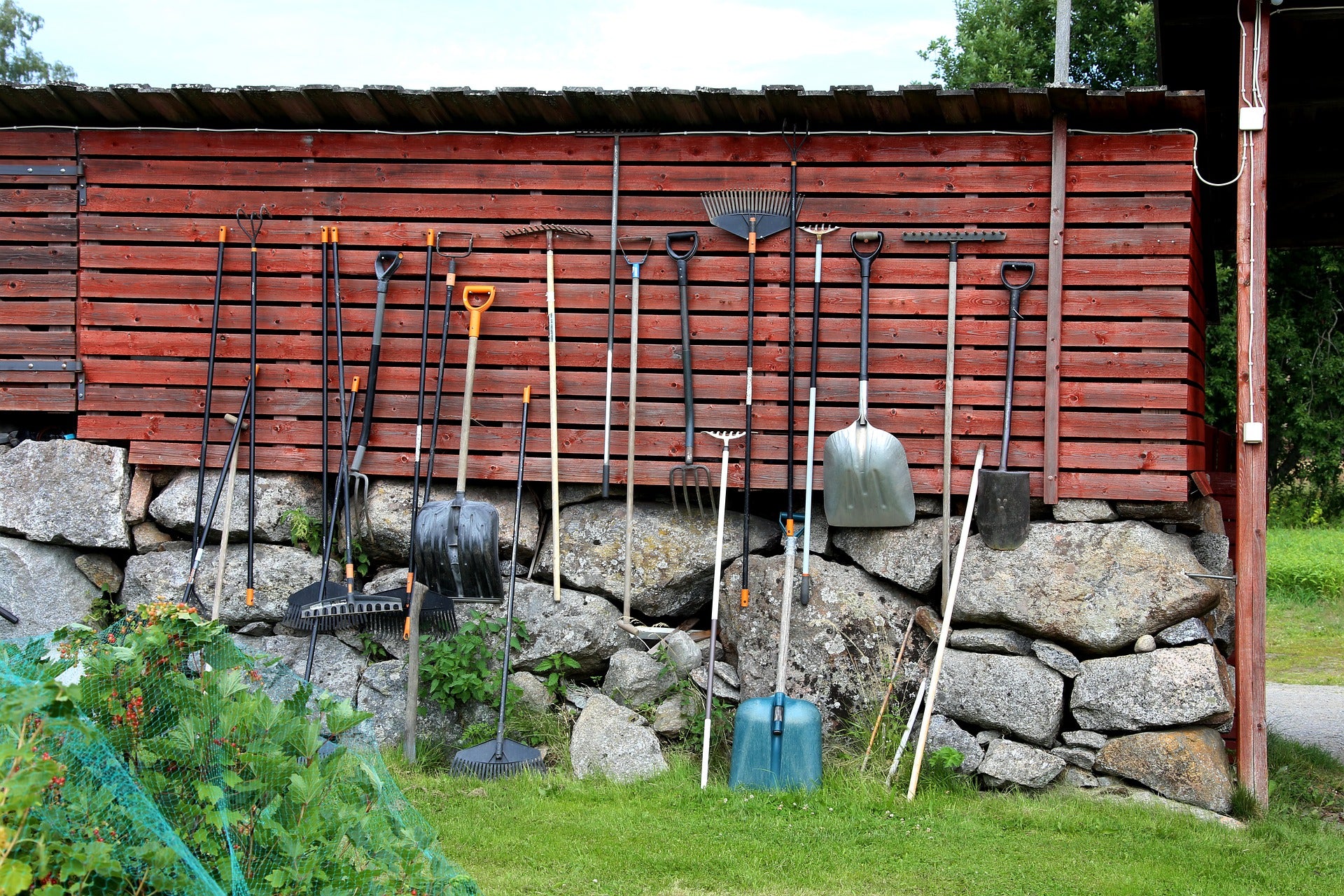 November Garden Chores for All USDA Grow Zones