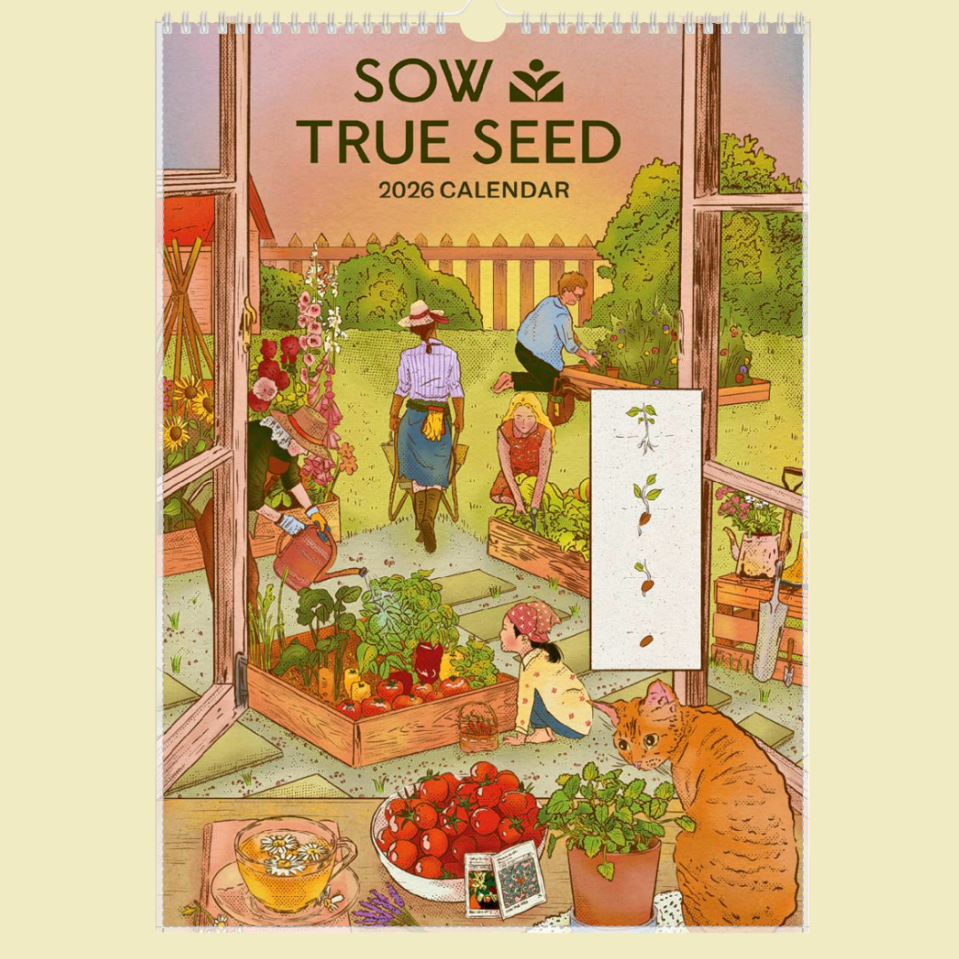 Calendars and Planners