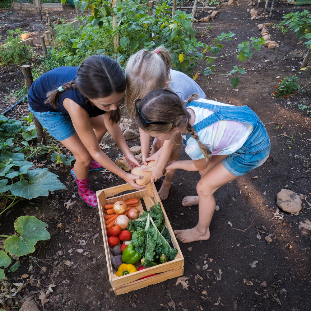 Gardening with Kids